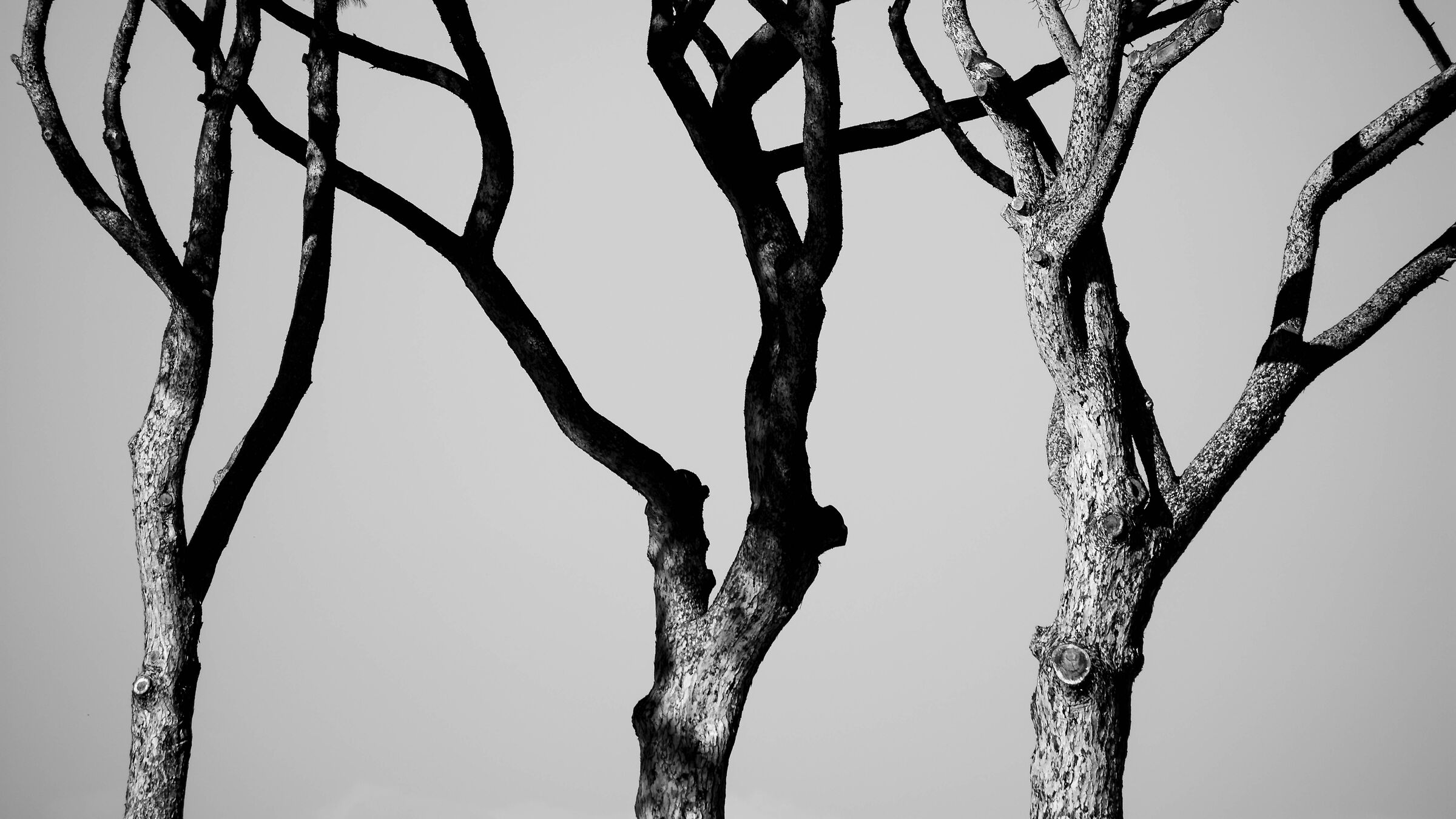 Untitled Photo