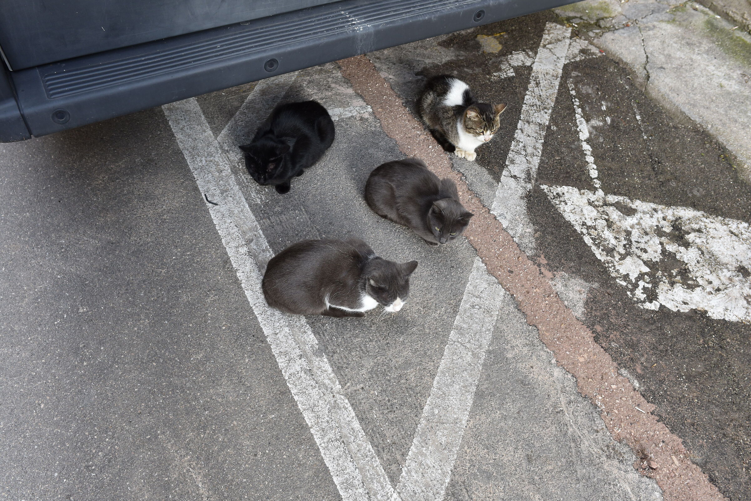 Sigma 28, 1.4 DG HSM Art - Nikon D 750