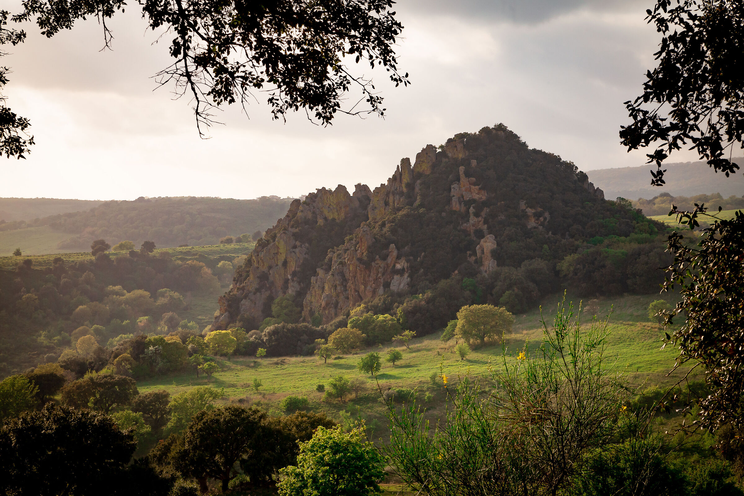 SASSO (CERVETERI)