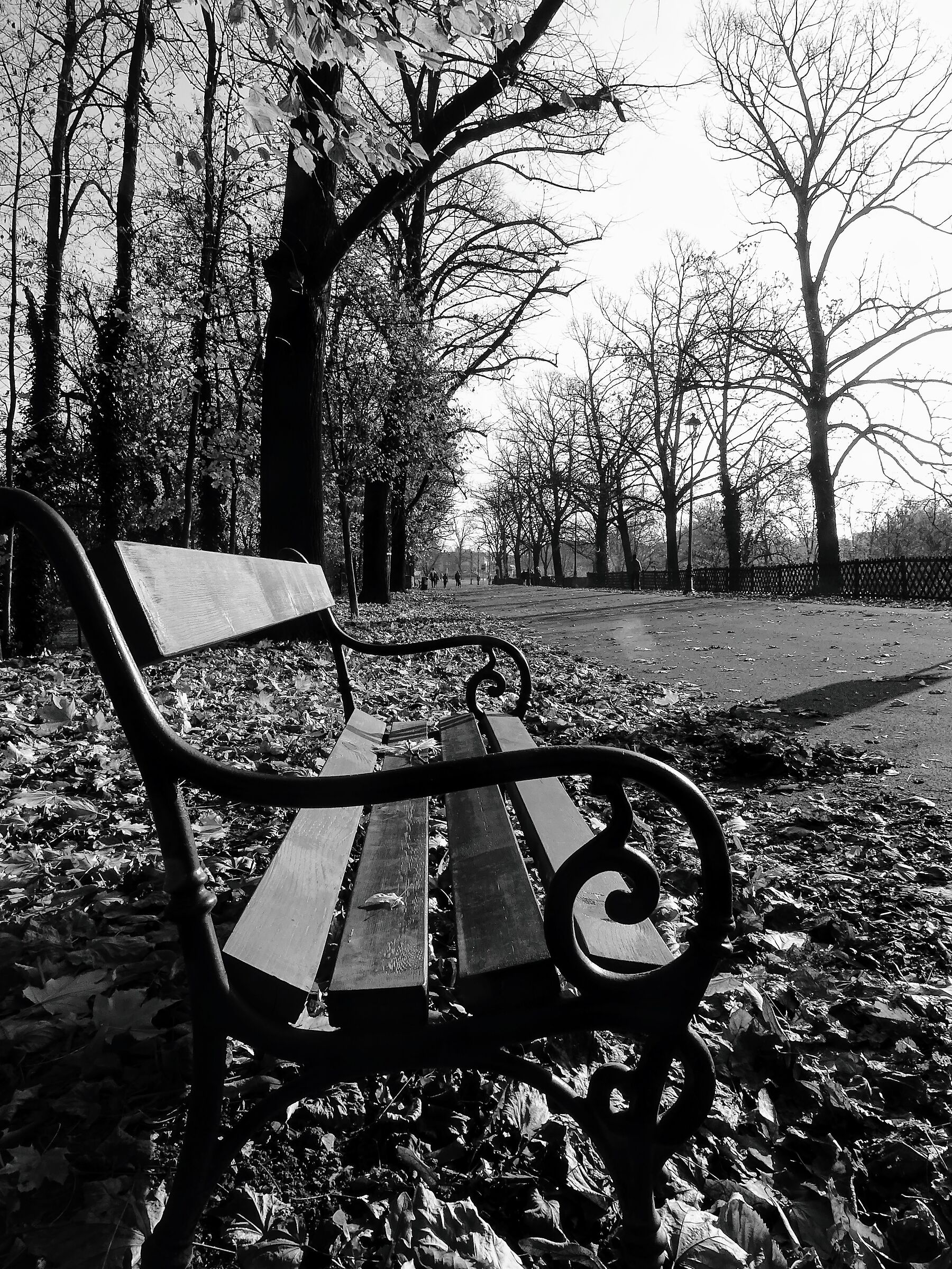 Una panchina al sole