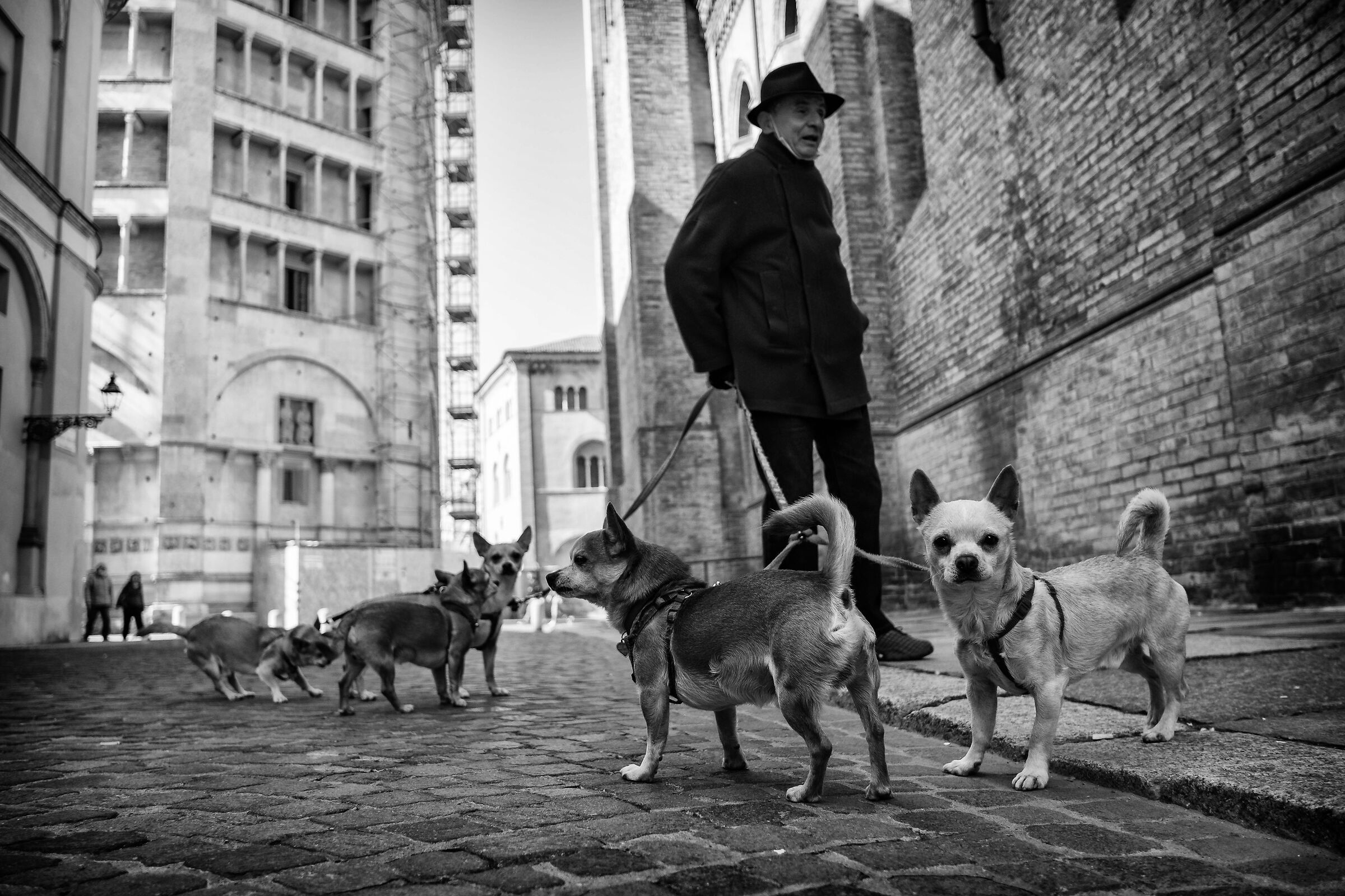 Friends on the Street