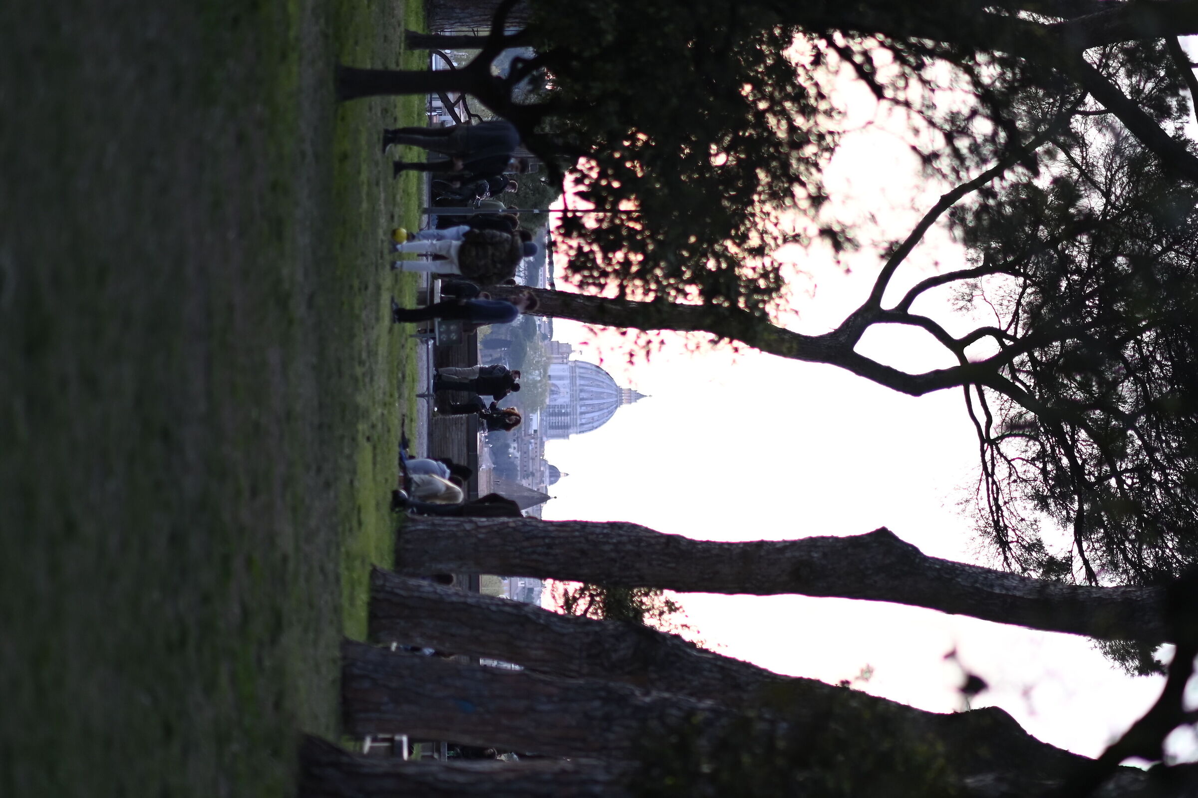 Untitled Photo