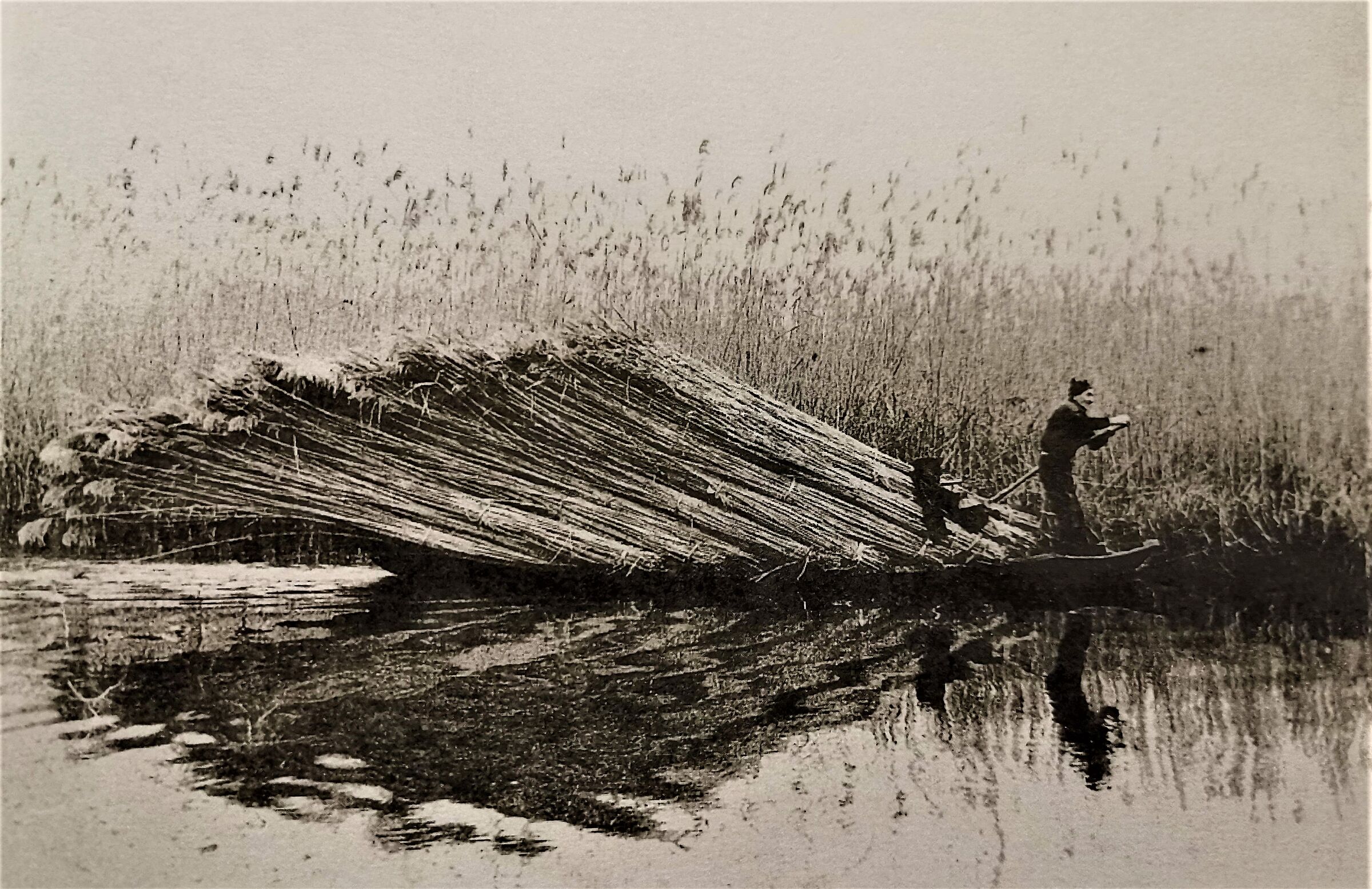 Nostralgia canaglia - 29 -