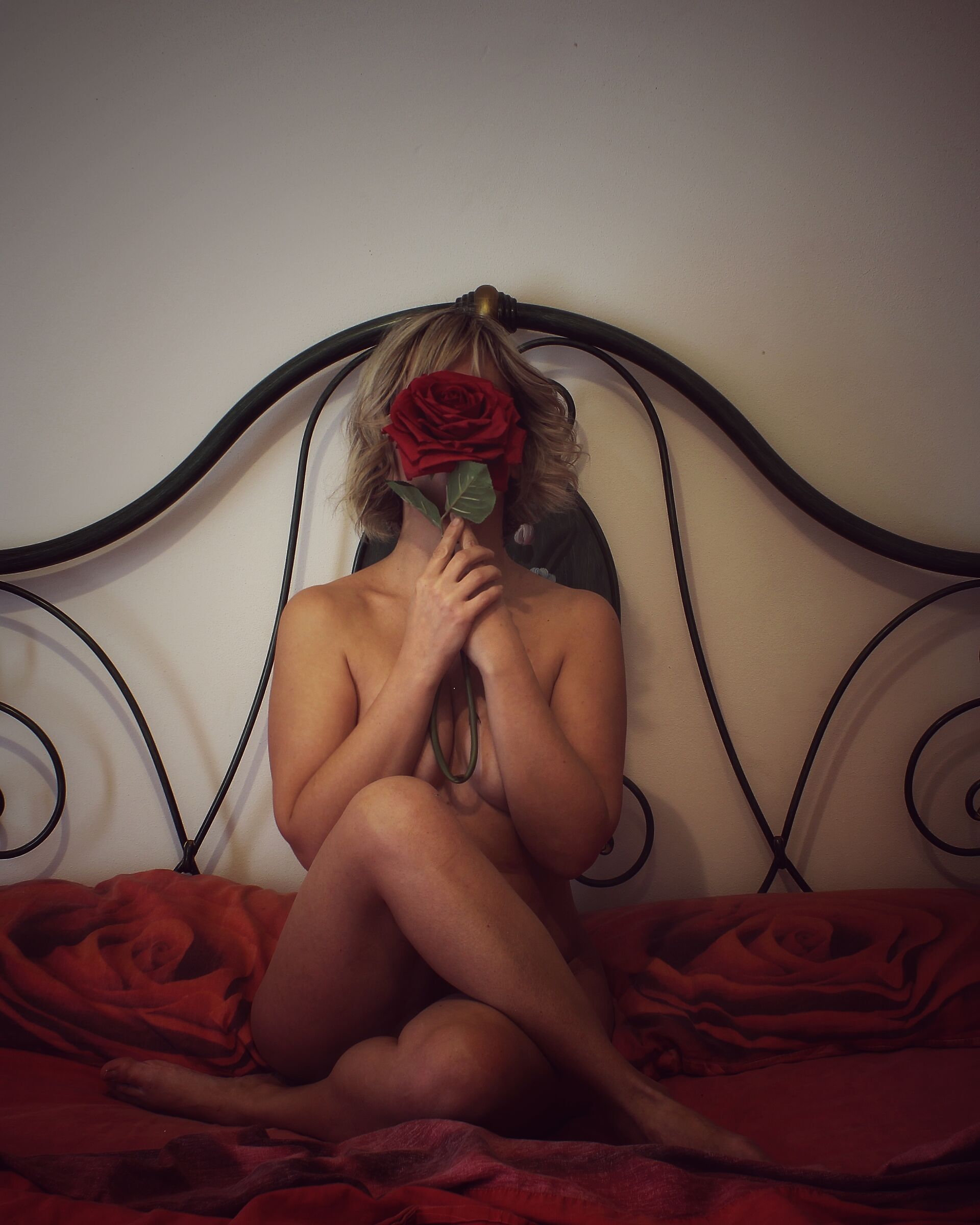 A rose..