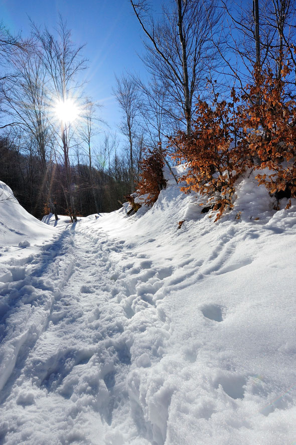 Sentiero innevato