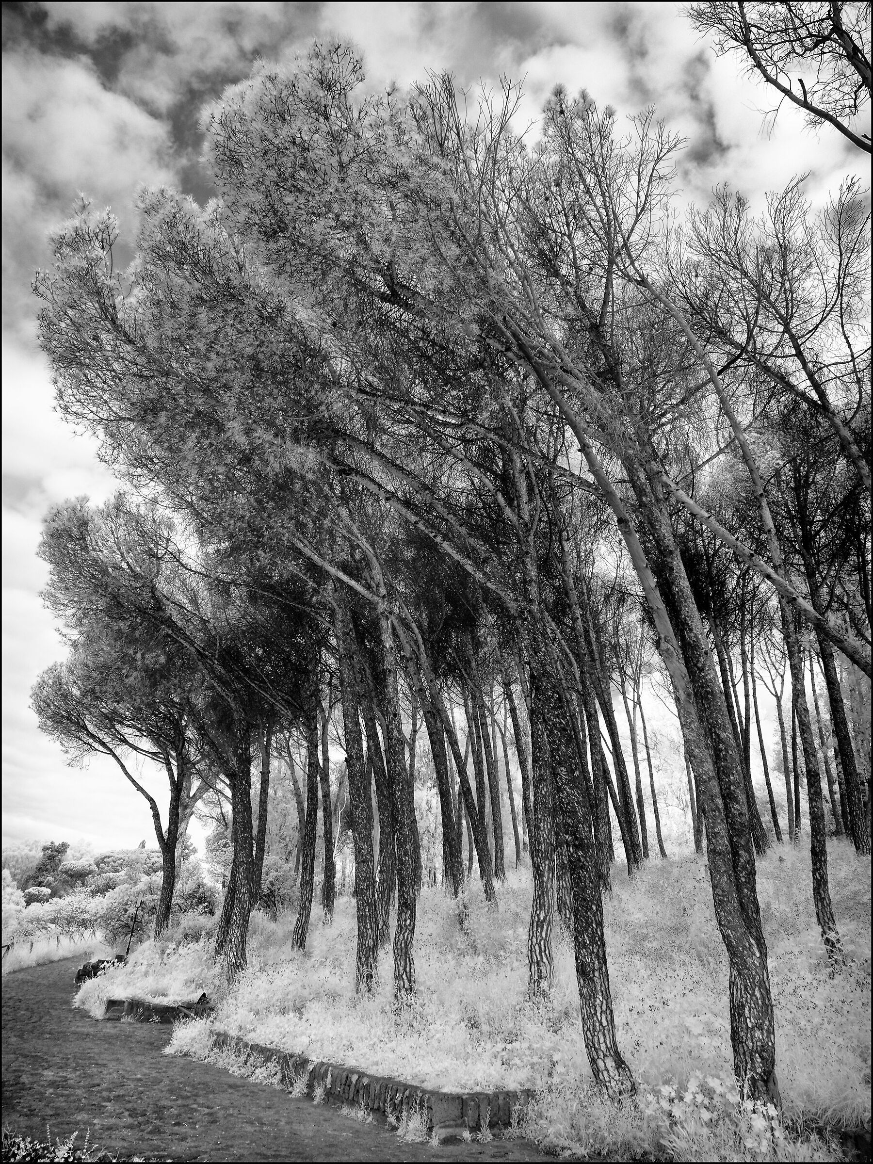 Mount Mario InfraRed 2