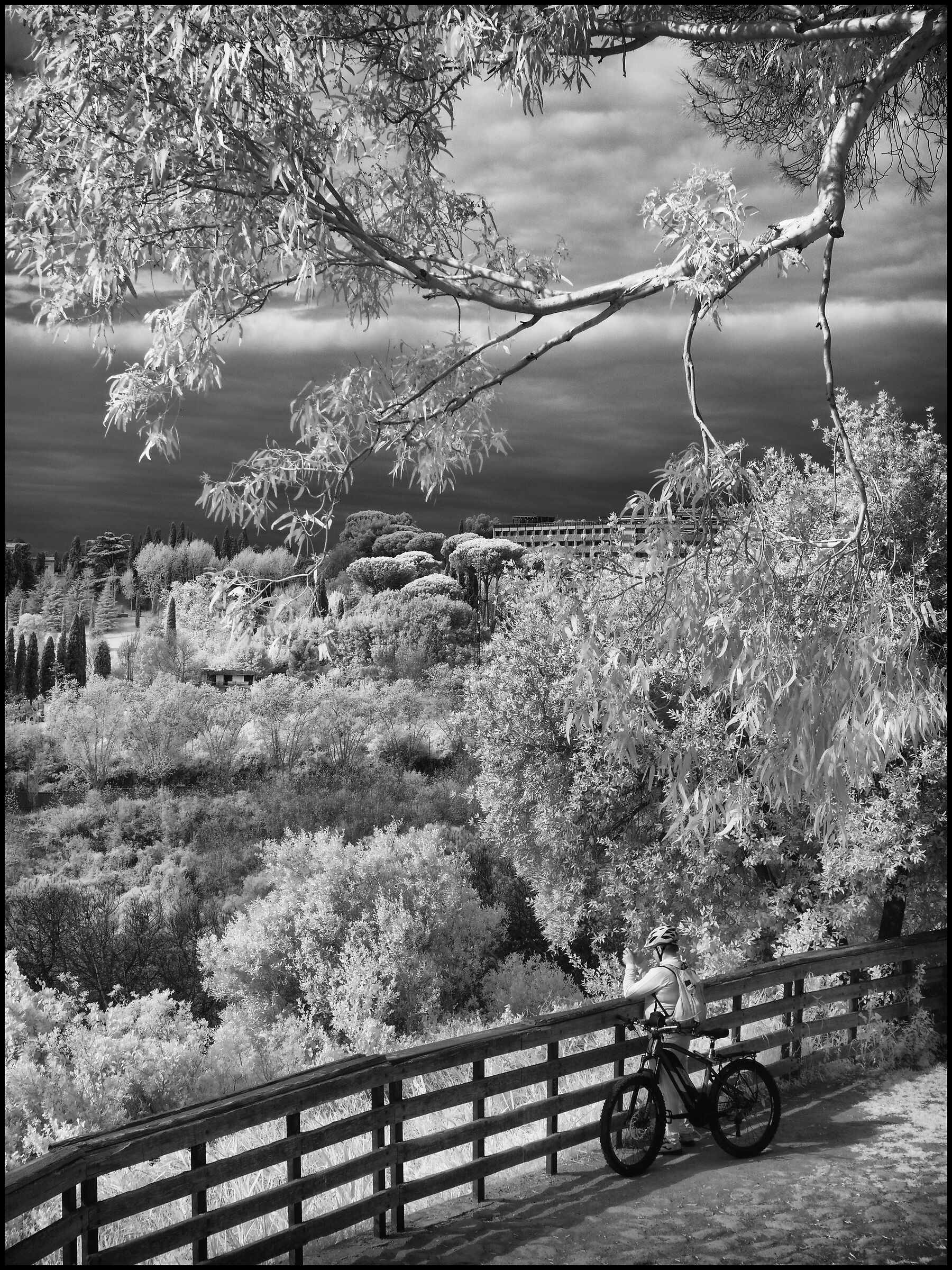 Monte Mario InfraRed 3