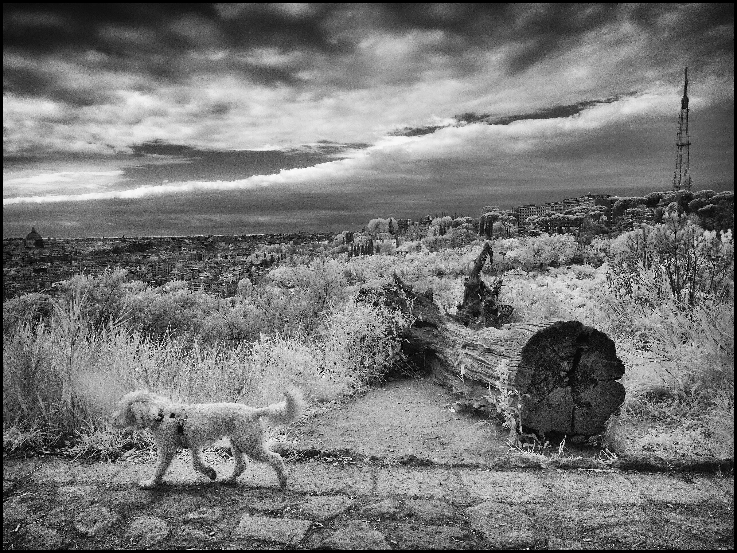 Monte Mario InfraRed 4