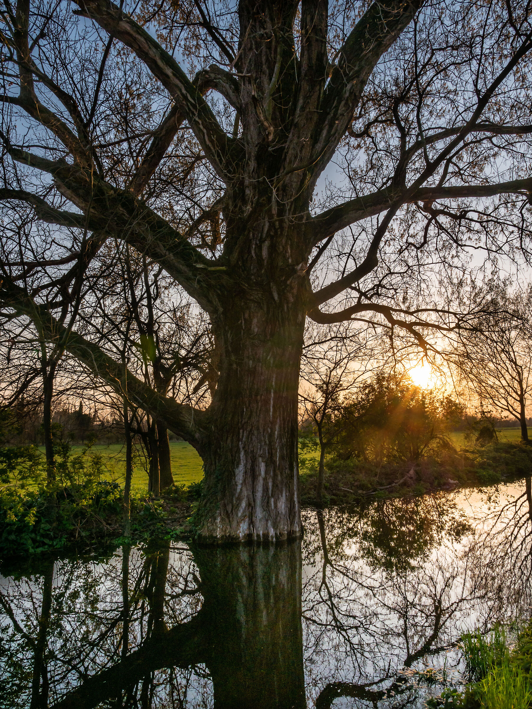 Vettabbia Park - Milan