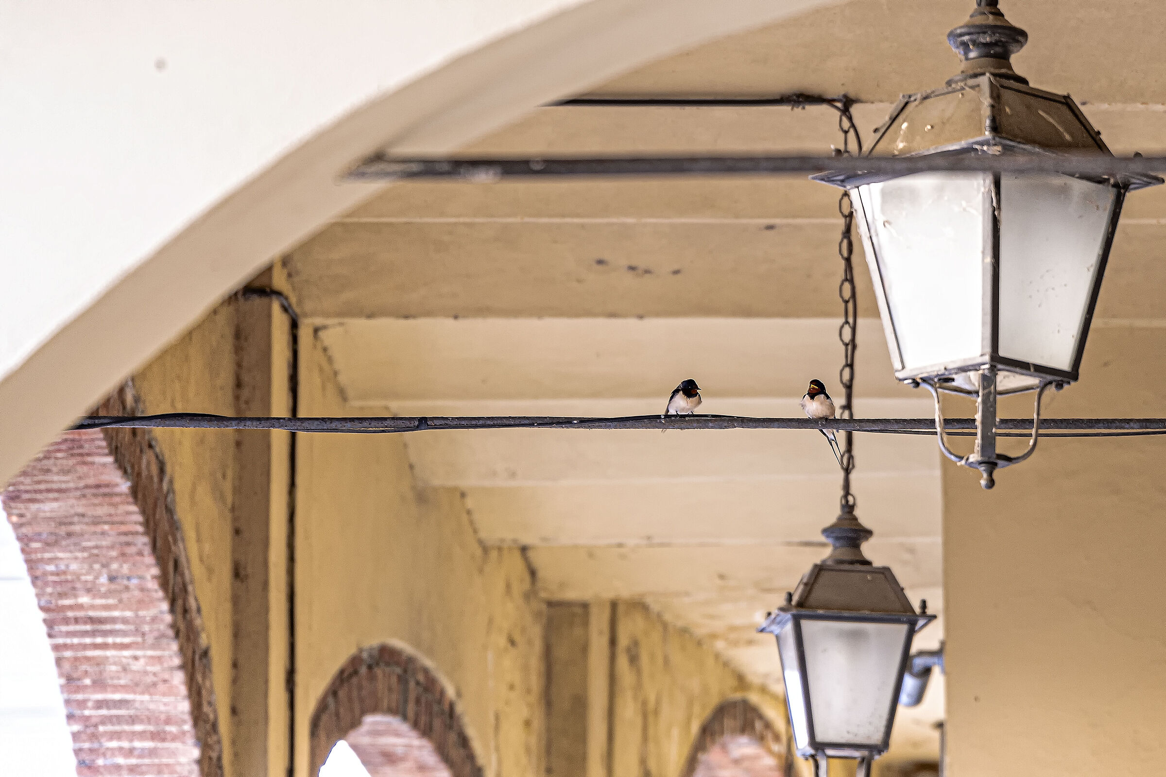 Sheltered from grecalata