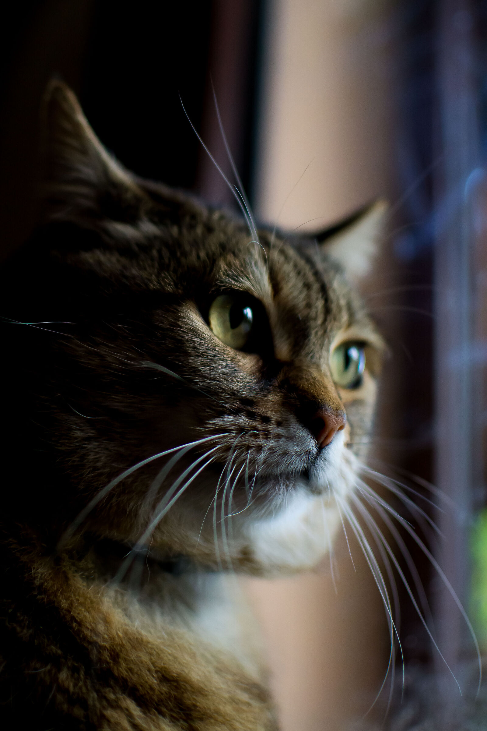 Thinking about how to escape