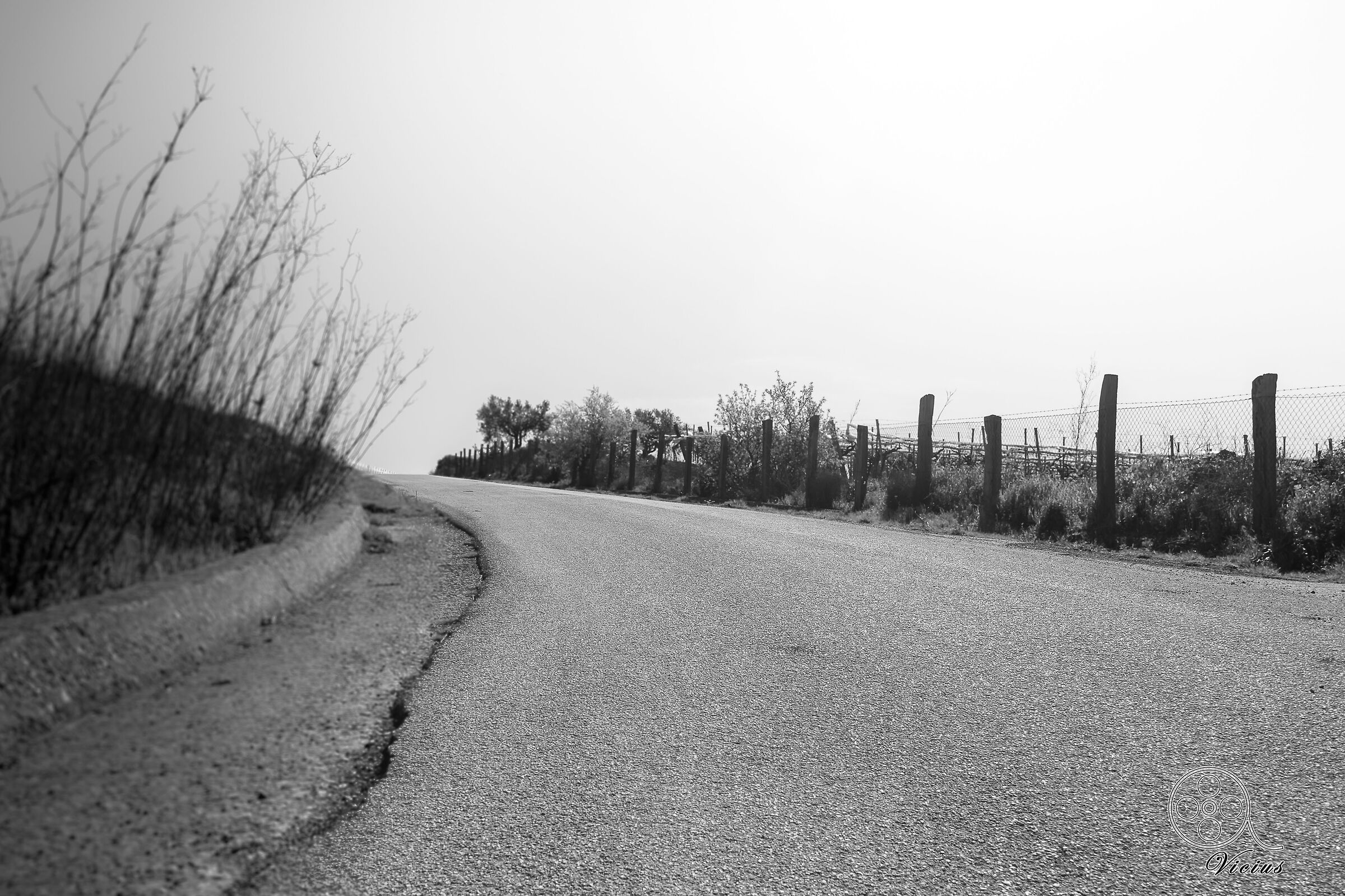 La strada per Gibbesi