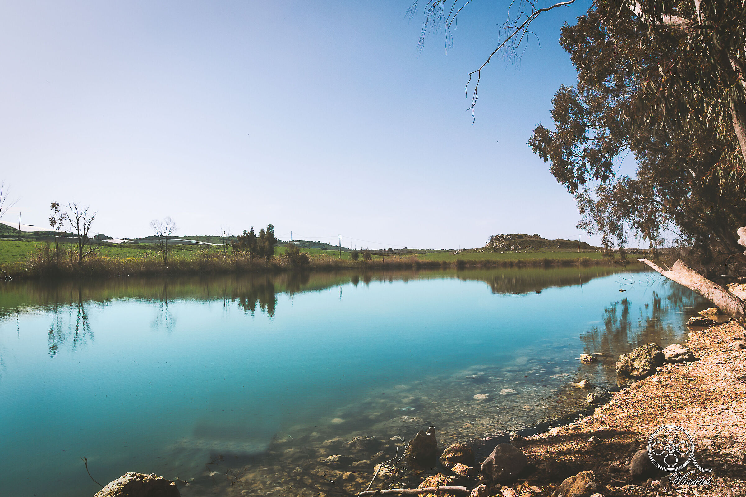 Sulla riva del laghetto