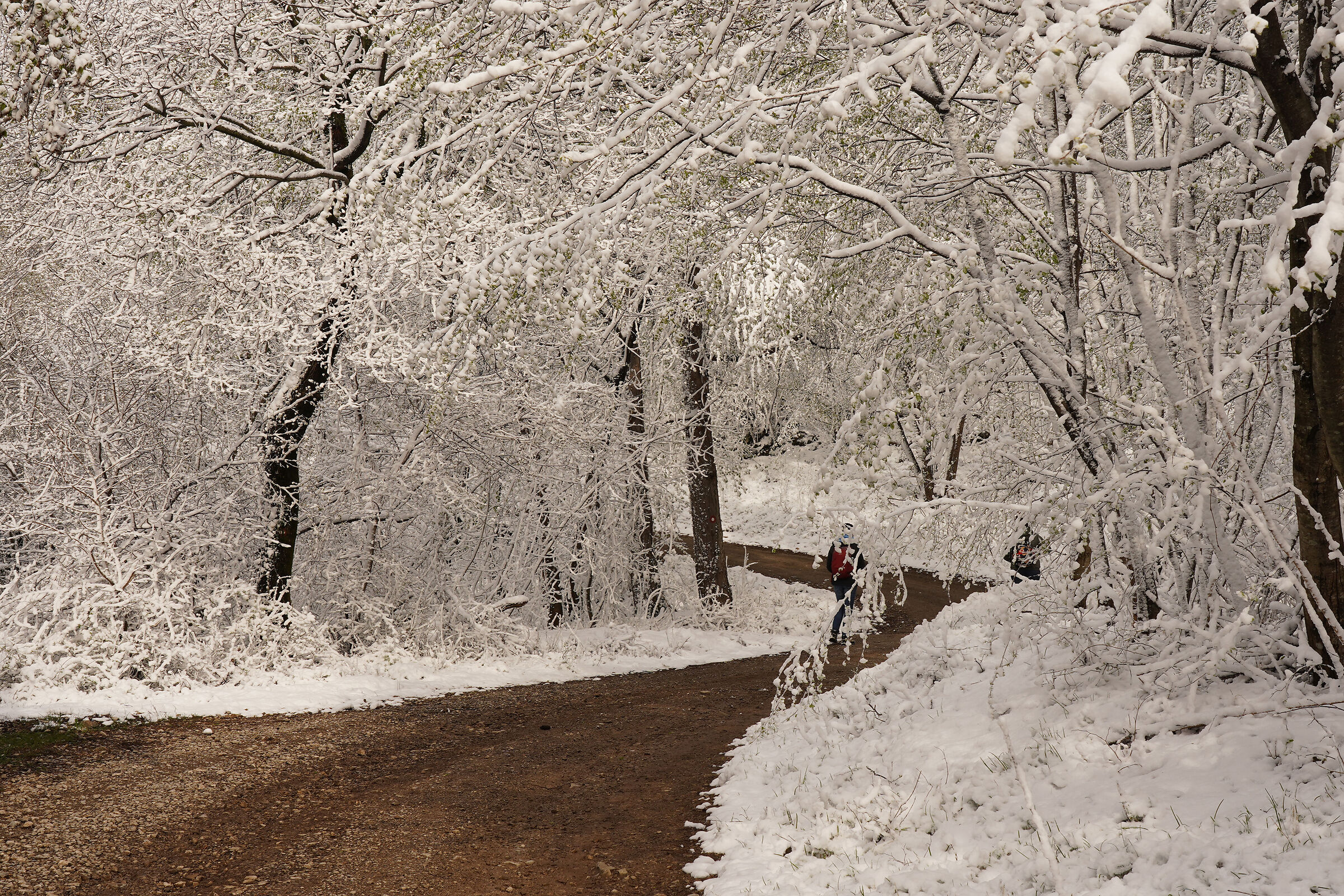 Nevicata ad aprile 4