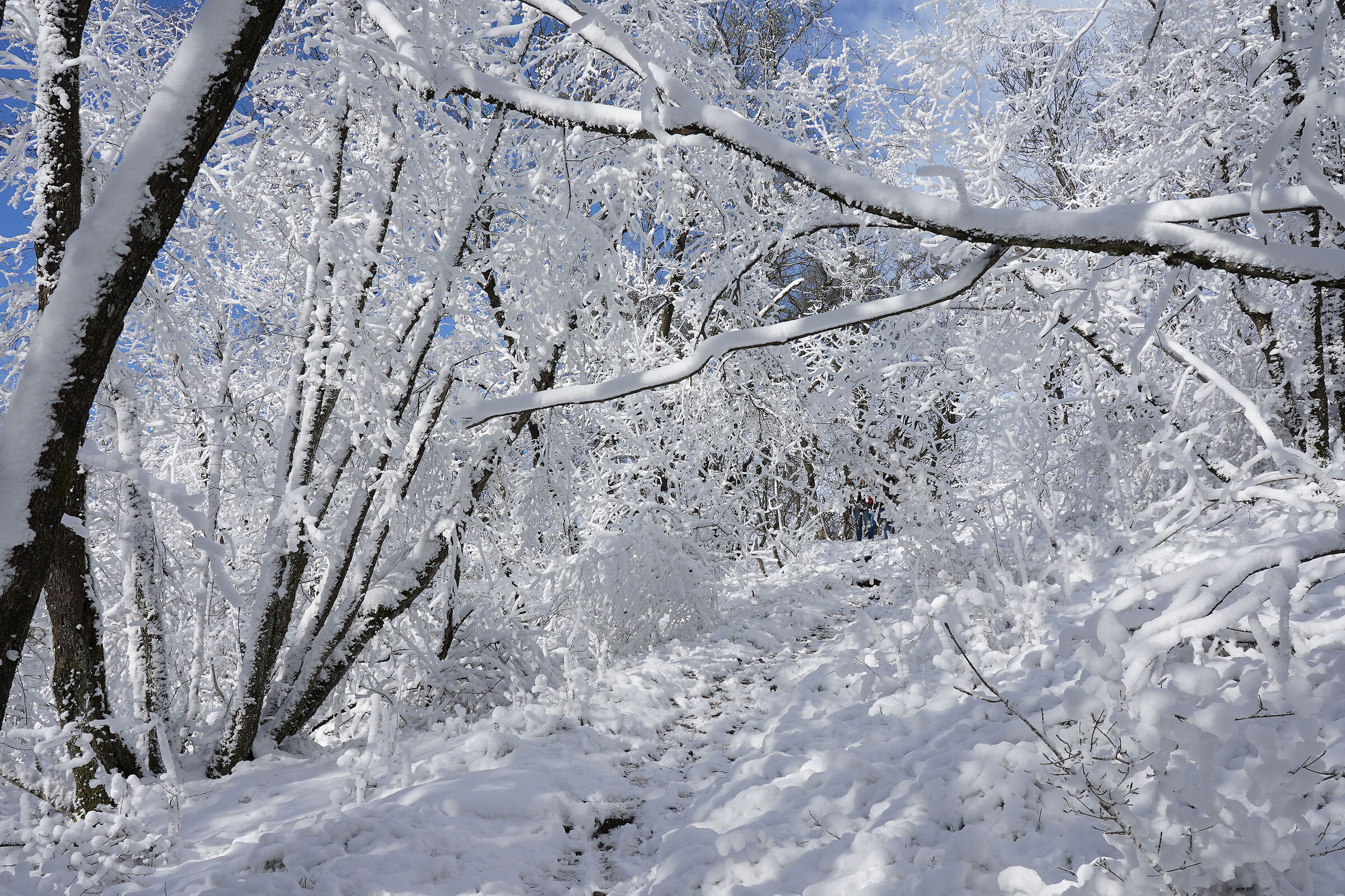 Nevicata ad aprile 5