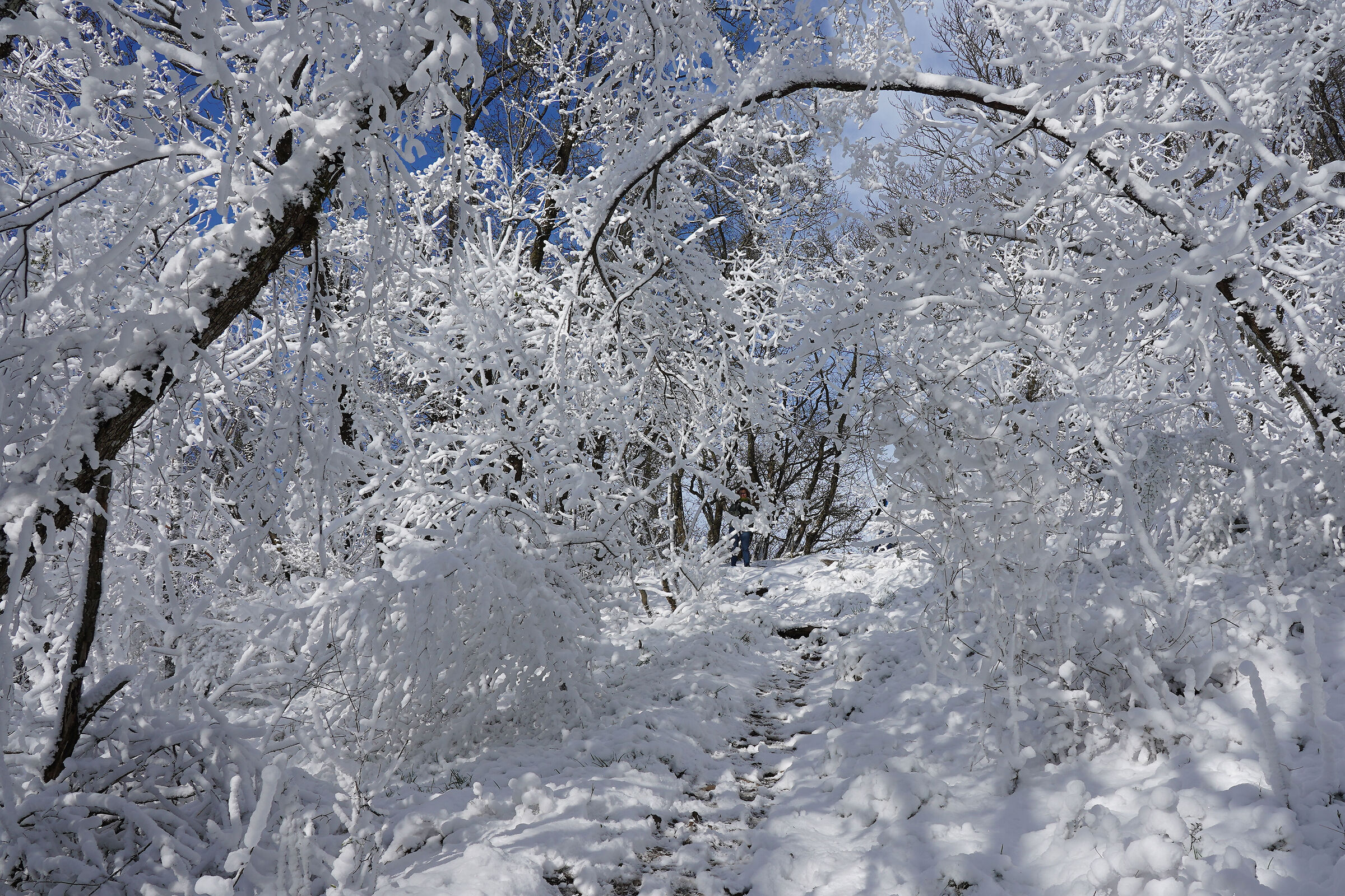 Nevicata ad aprile 6