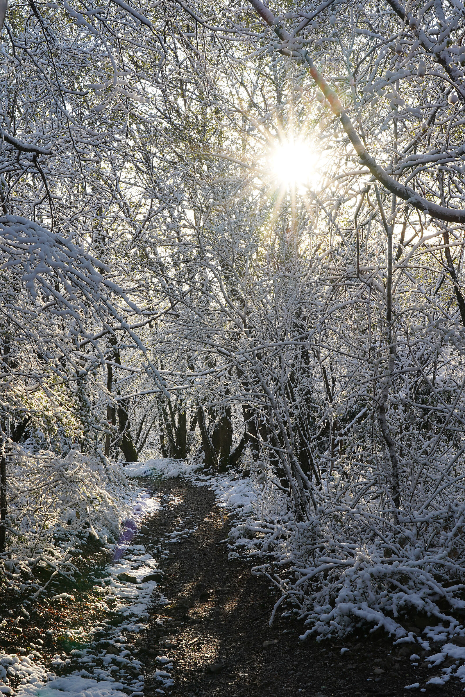 Nevicata ad aprile 7