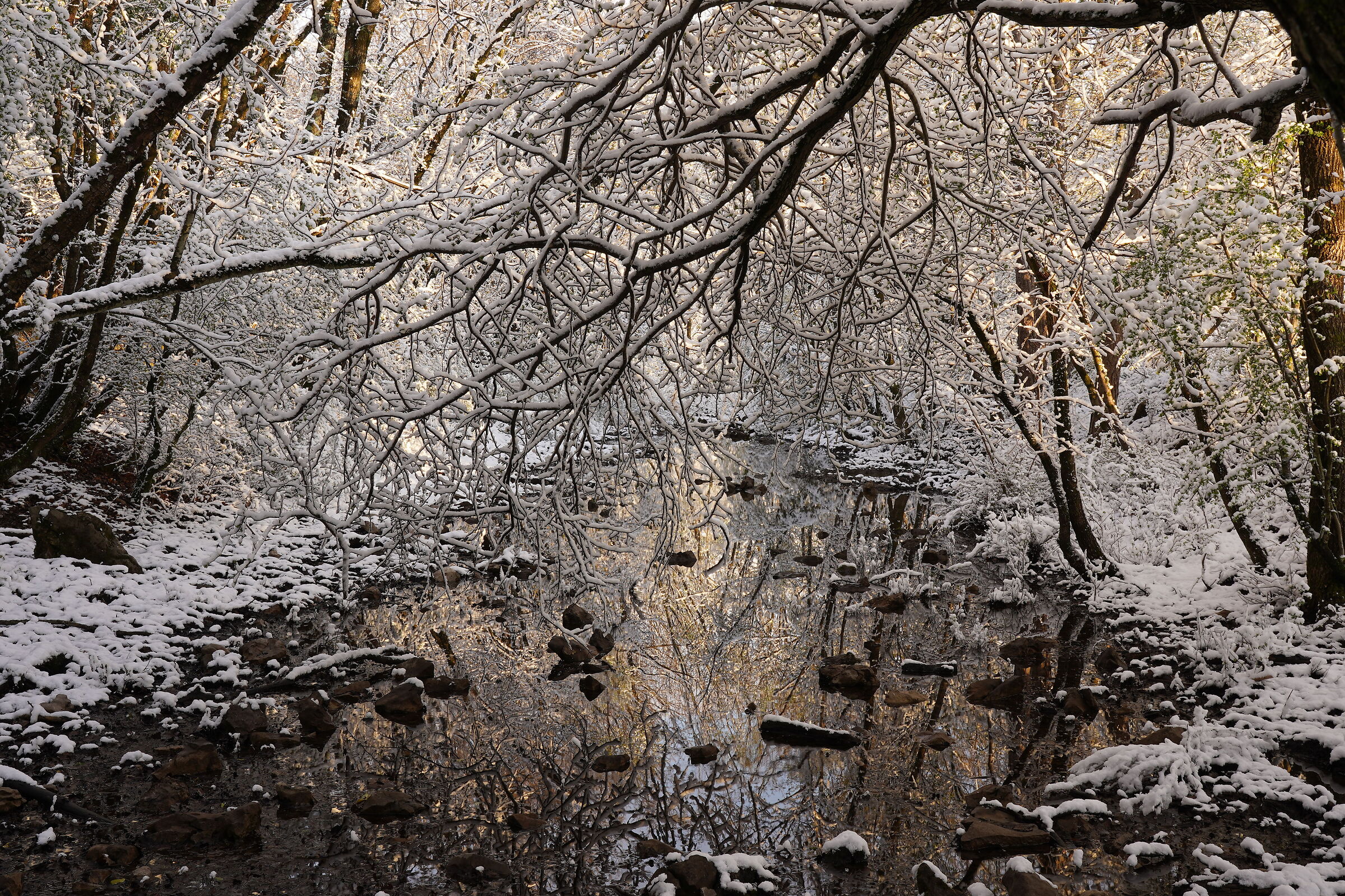 Nevicata ad aprile 8