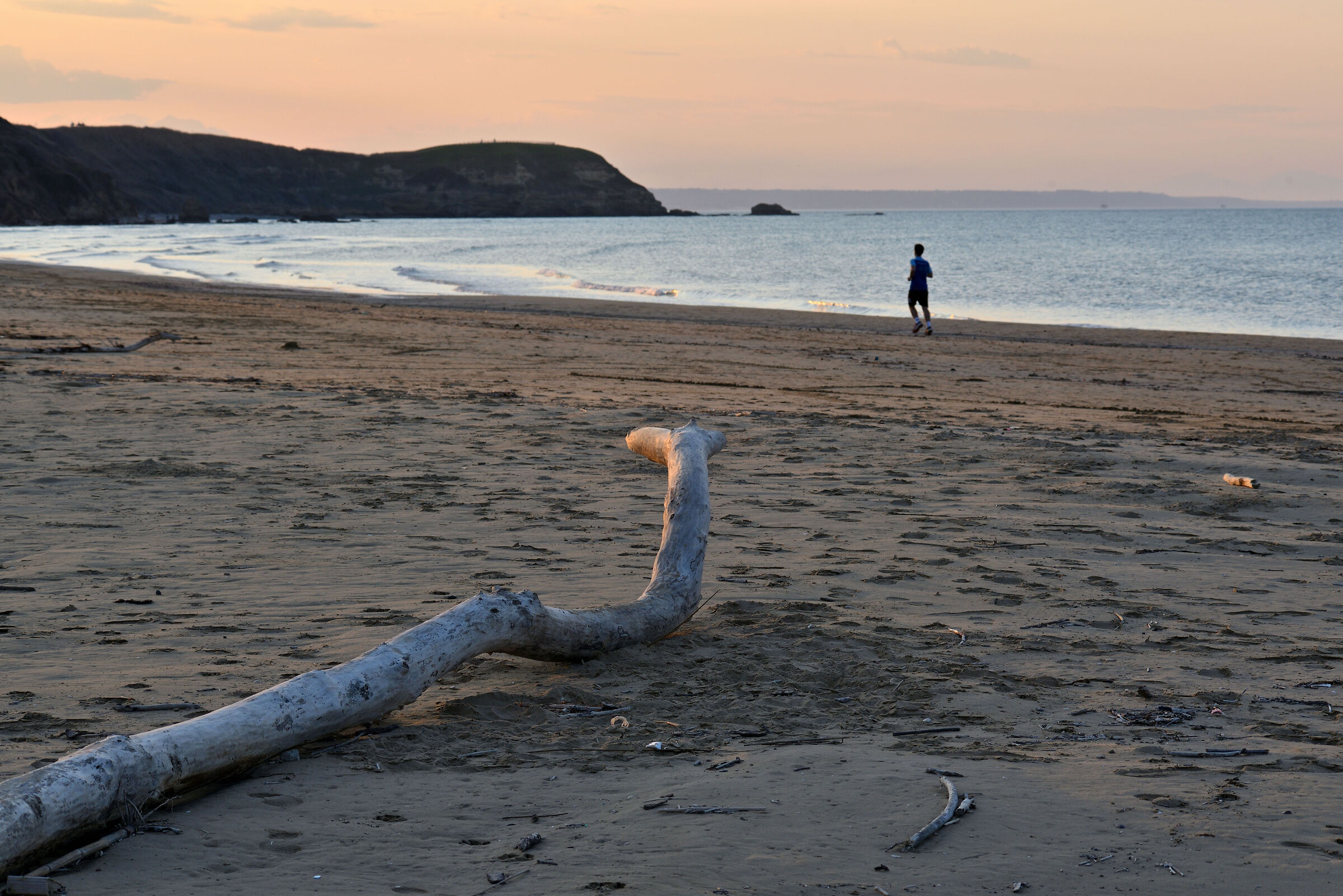 Something is watching you