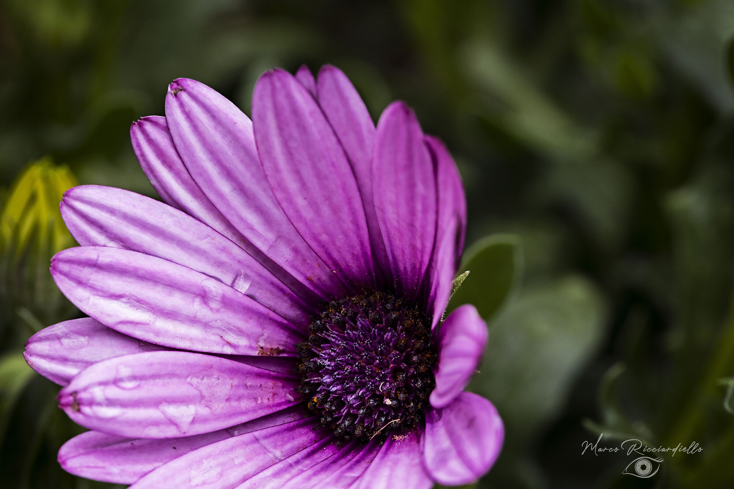 Untitled Photo