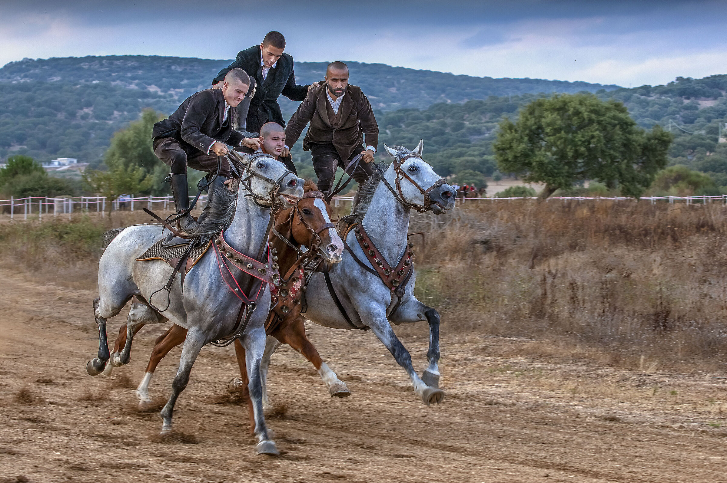 Cavalieri sardi in technicolor