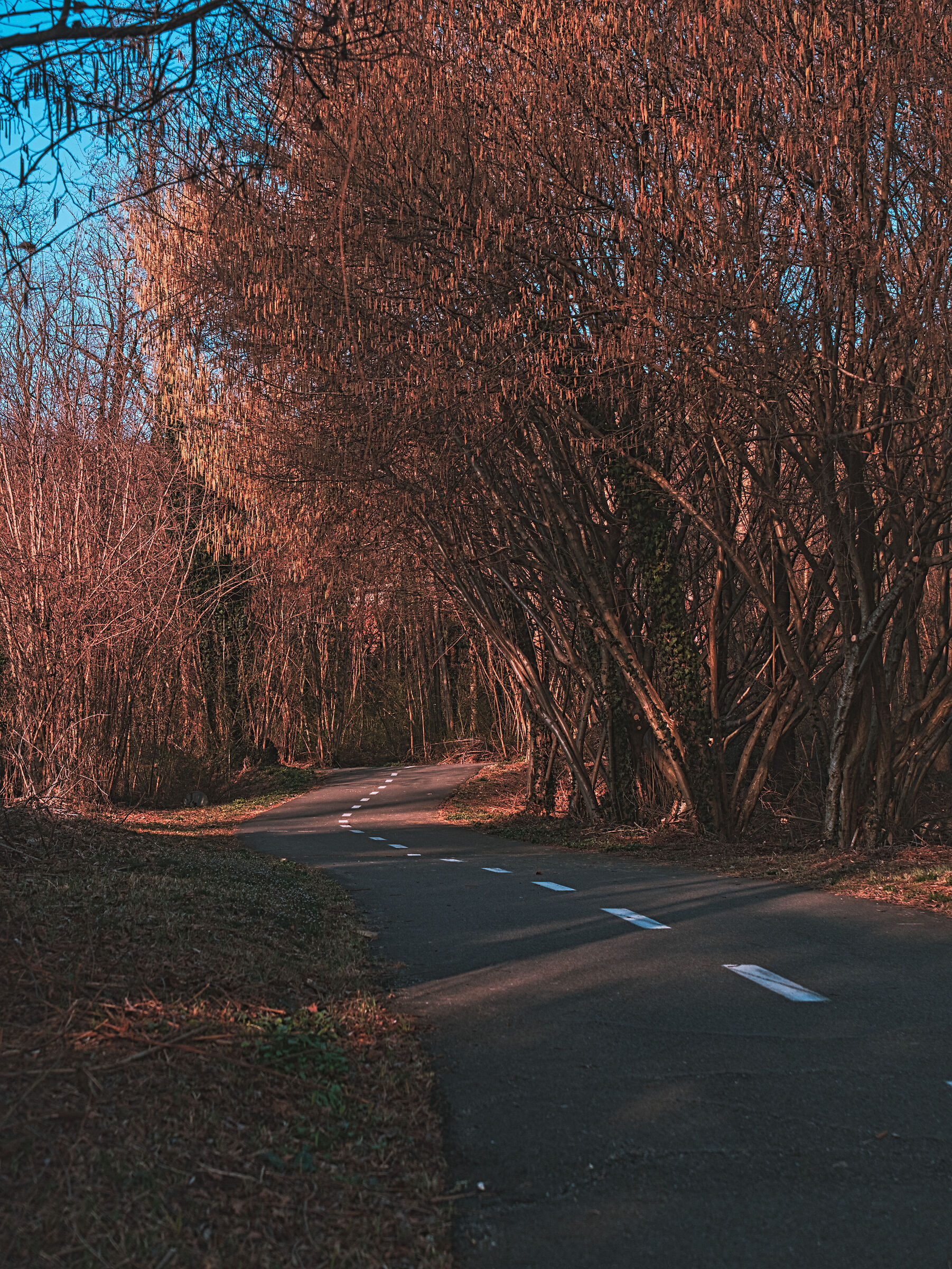 strada 3