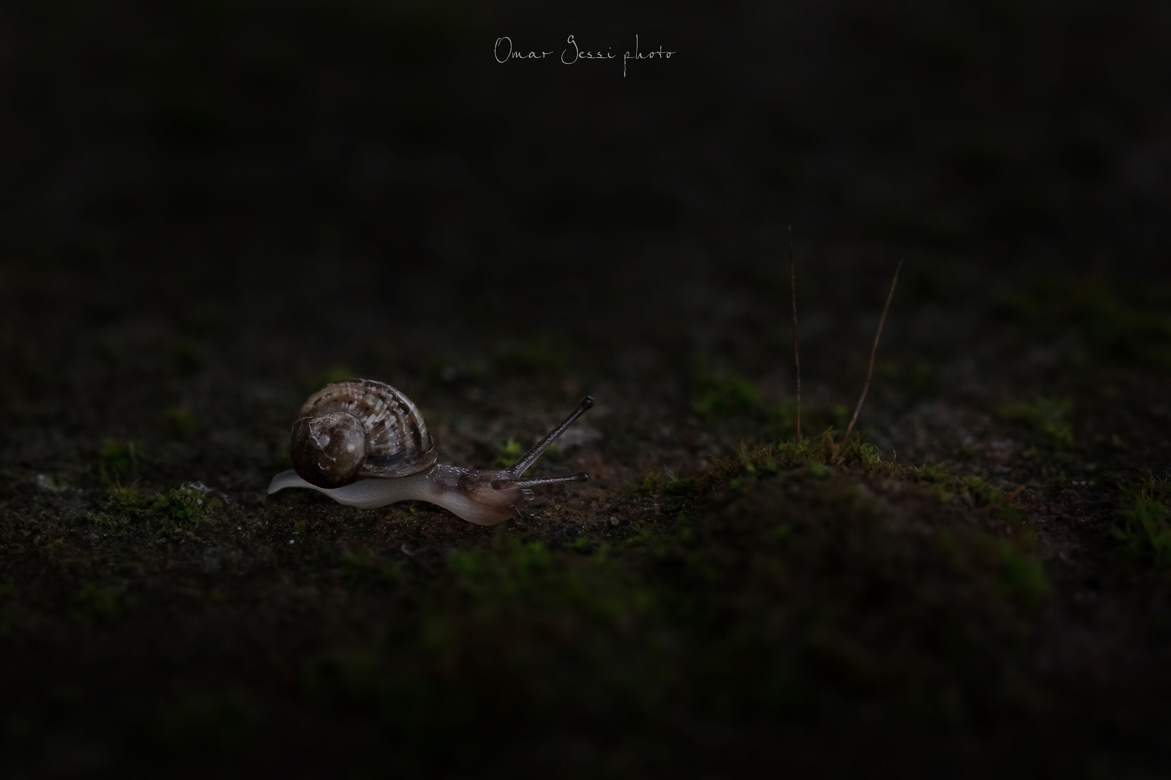 mini world