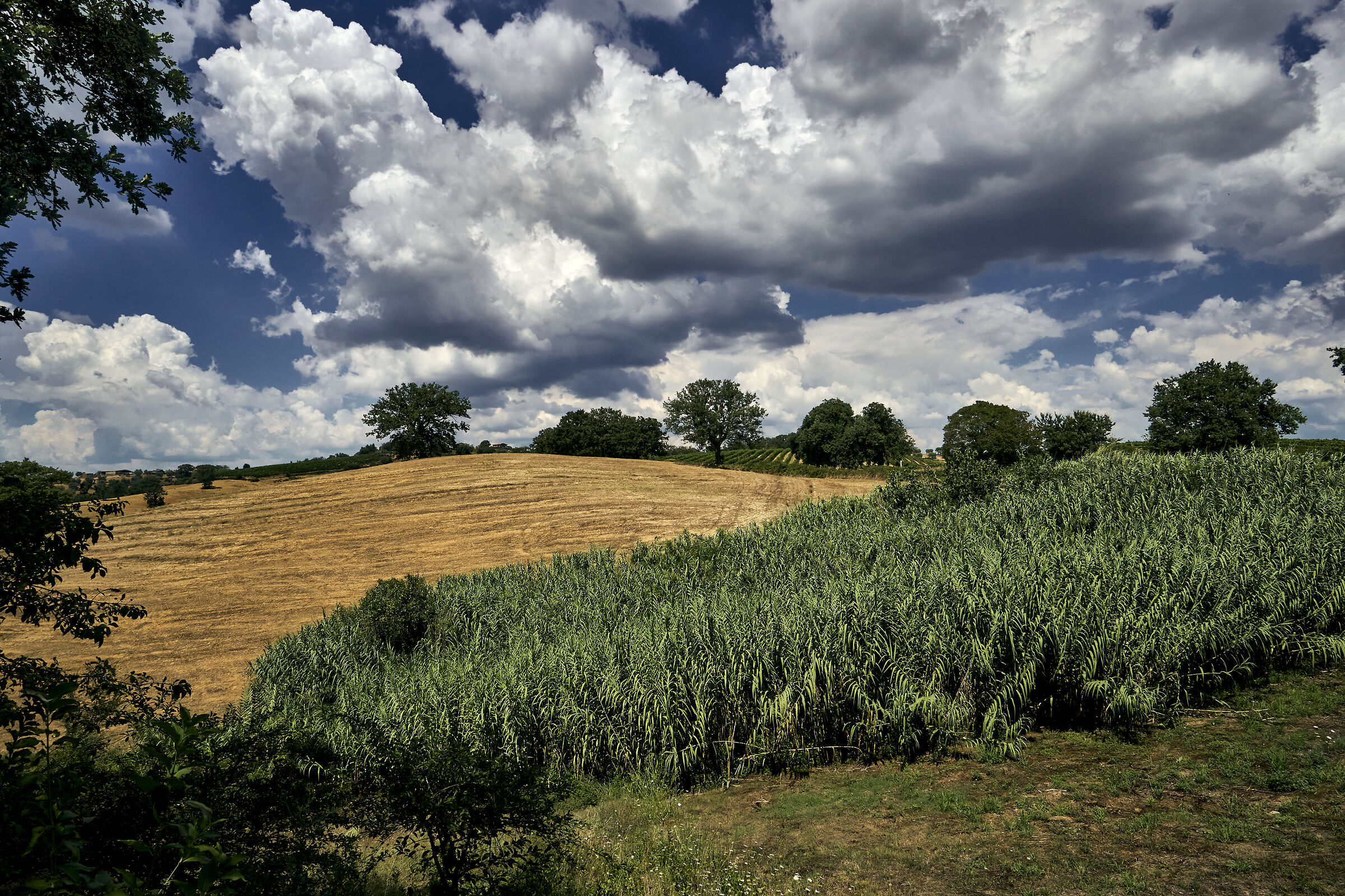 Campagna toscana