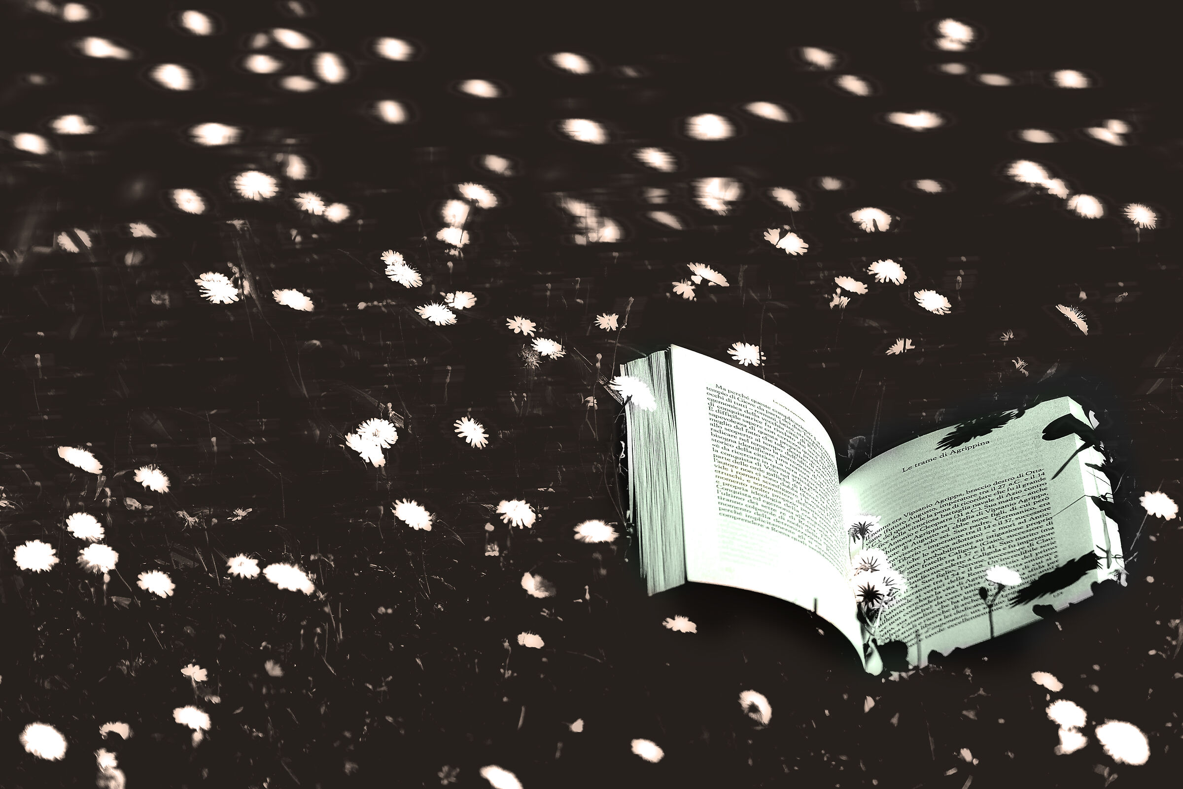 still life evidence much modified