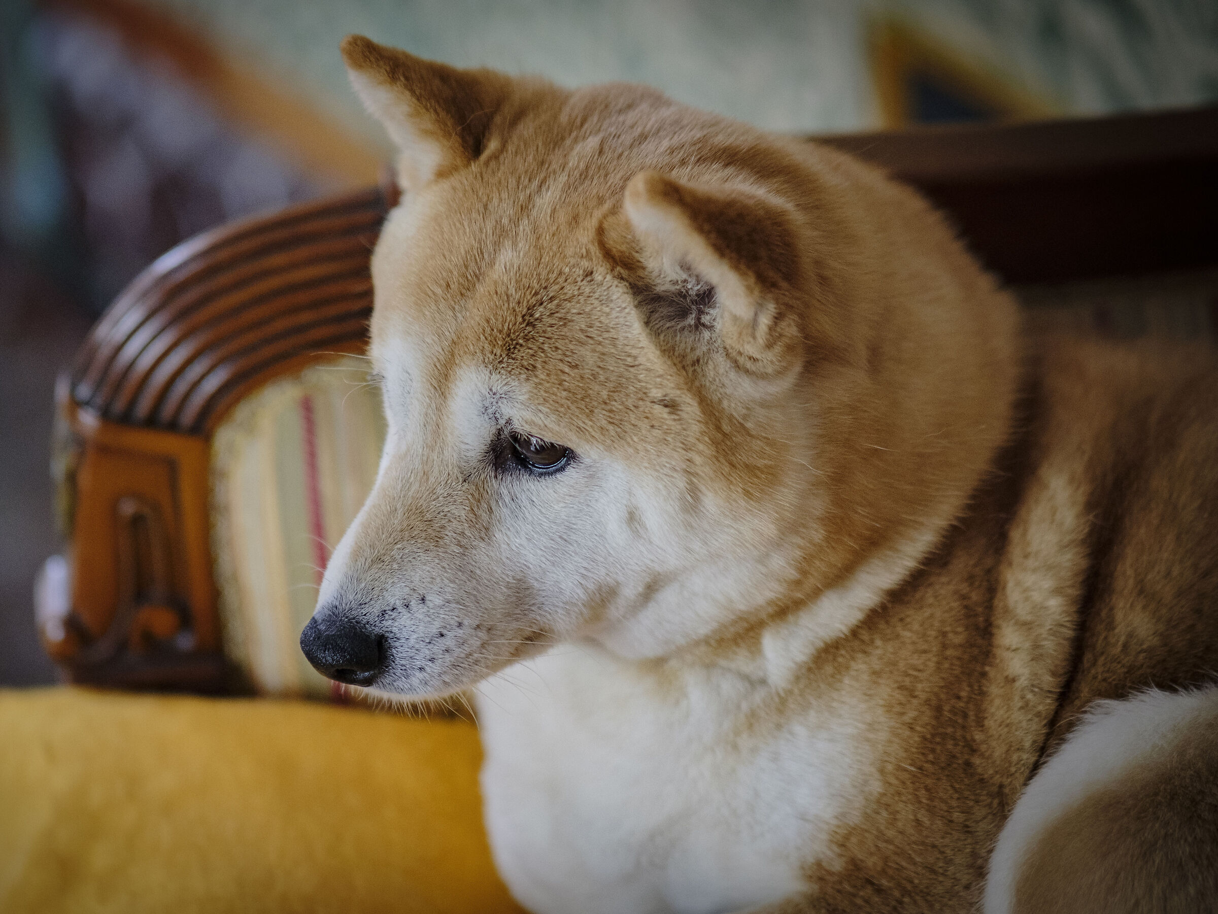 Penso... ma come sono fortunata!!!