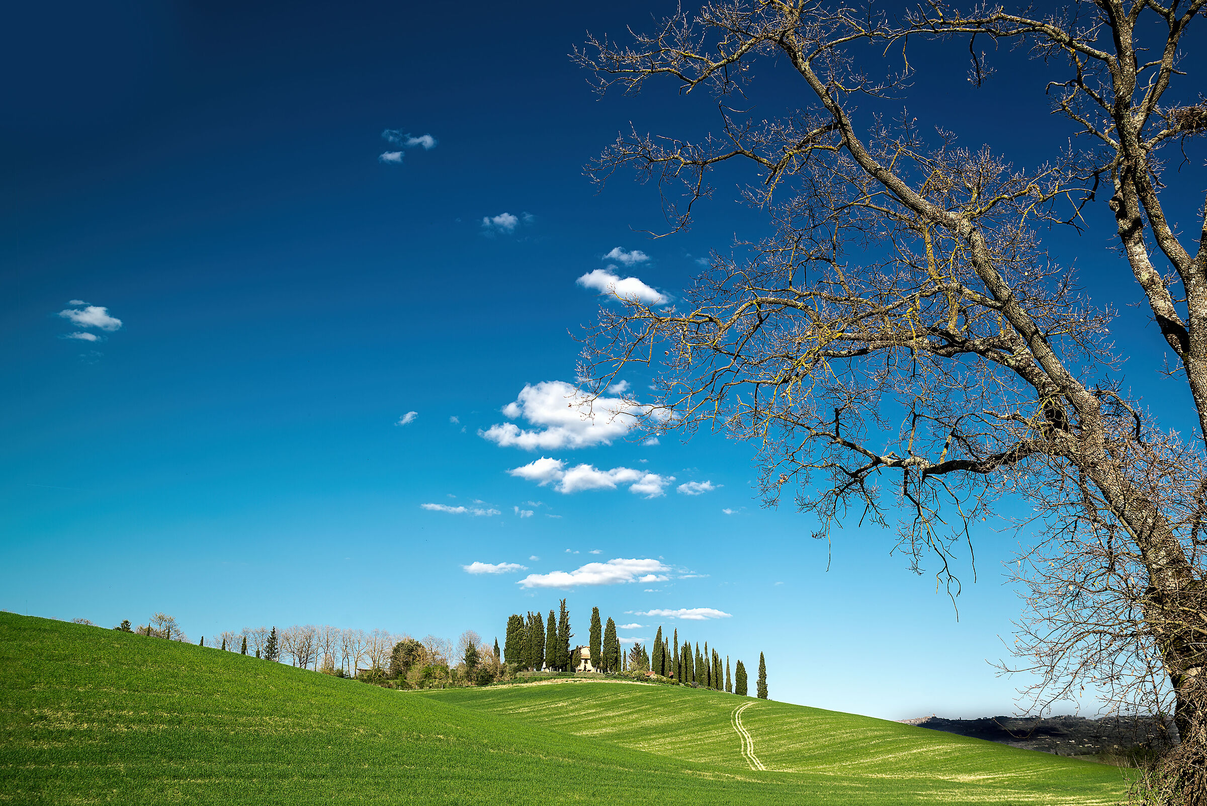 paesaggio  valdichiana meridionale