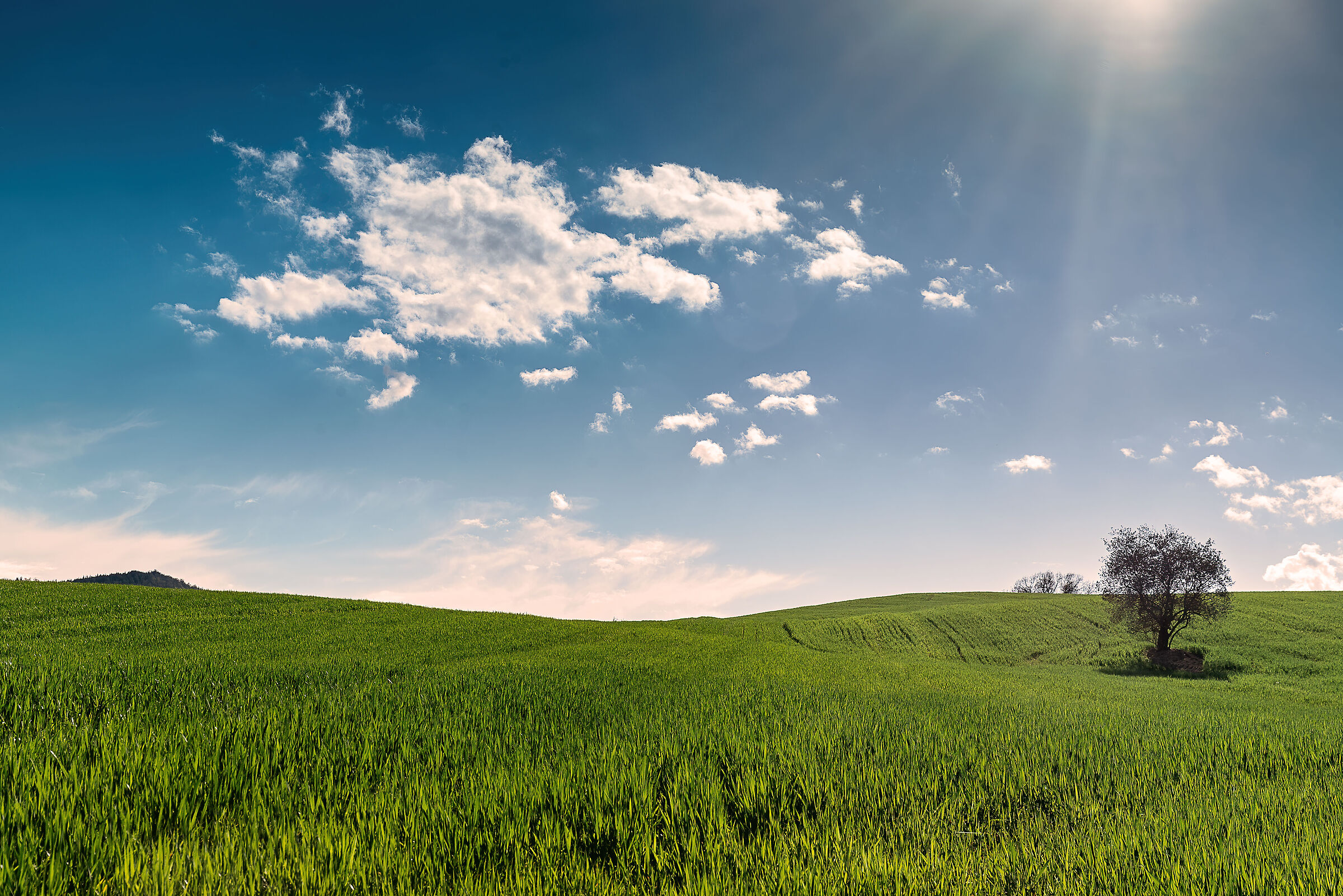 paesaggio  valdichiana meridionale