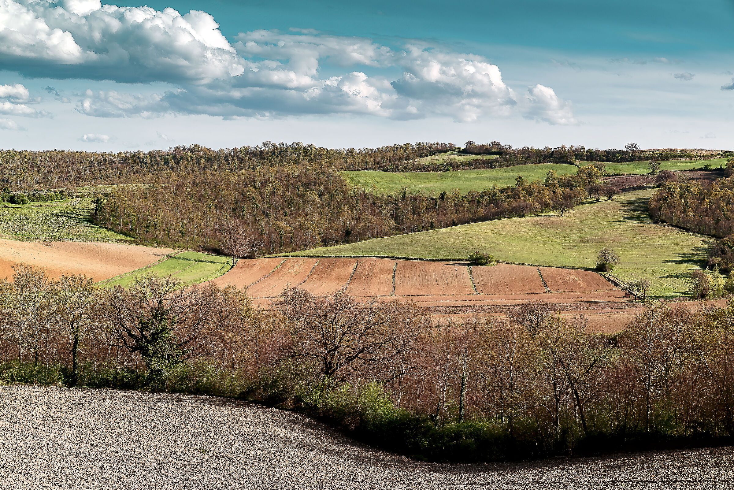 paesaggio  valdichiana meridionale