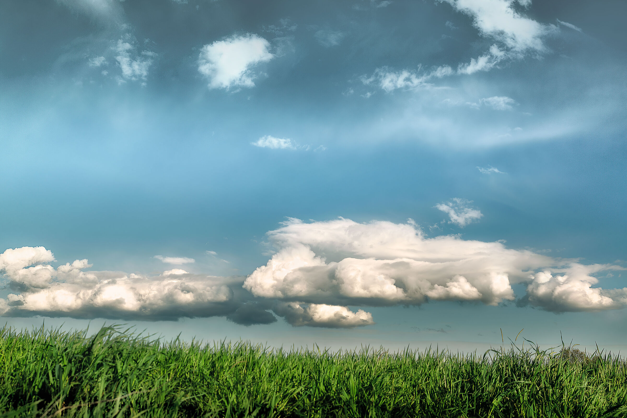 paesaggio  valdichiana meridionale