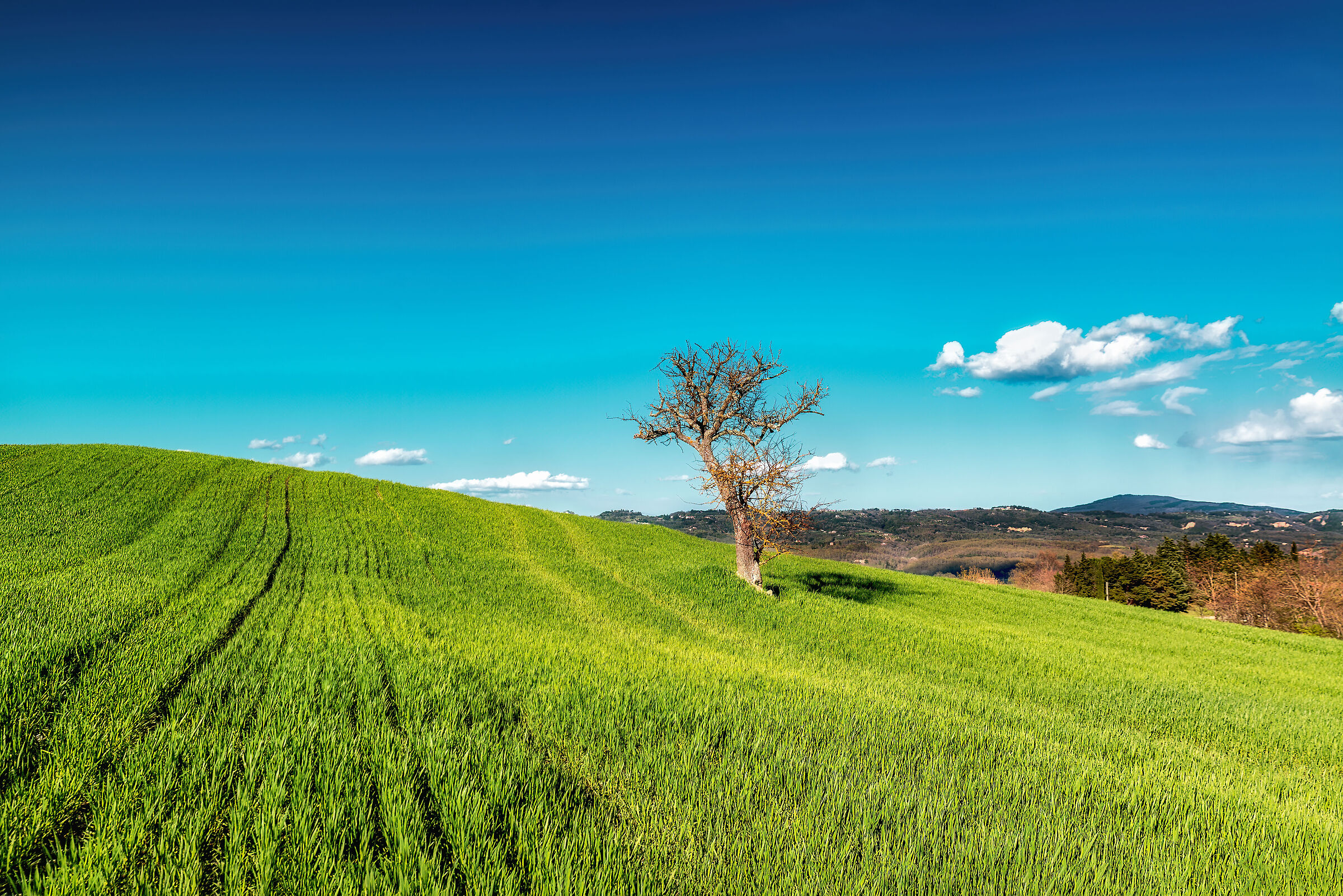 paesaggio  valdichiana meridionale