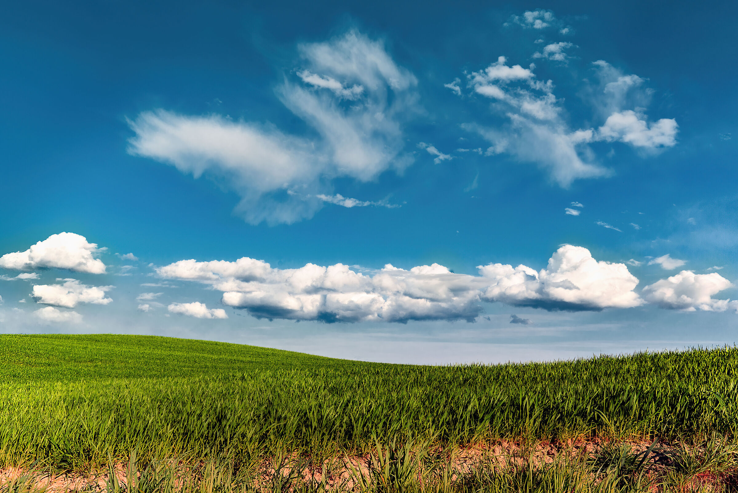 paesaggio  valdichiana meridionale