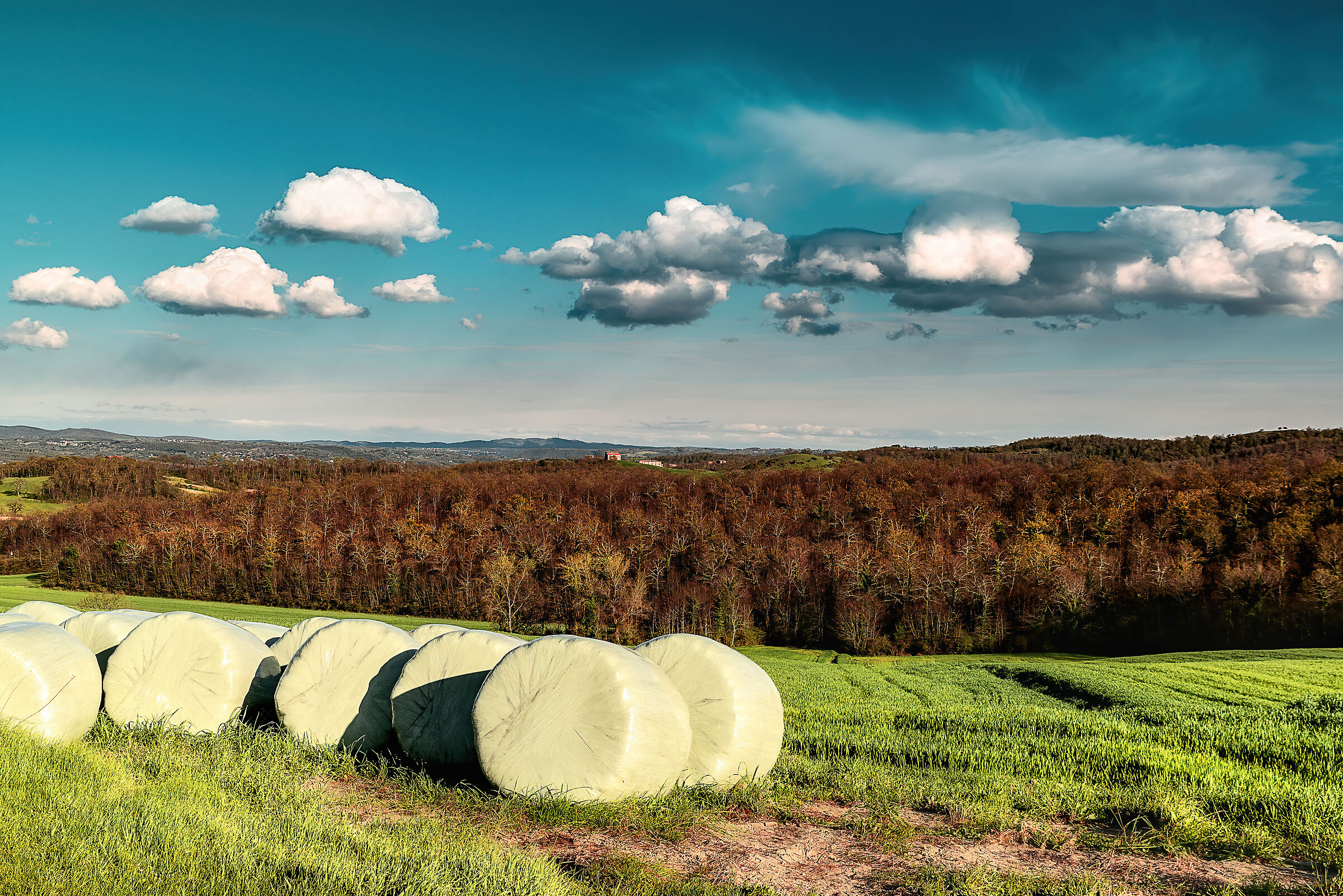 paesaggio  valdichiana meridionale