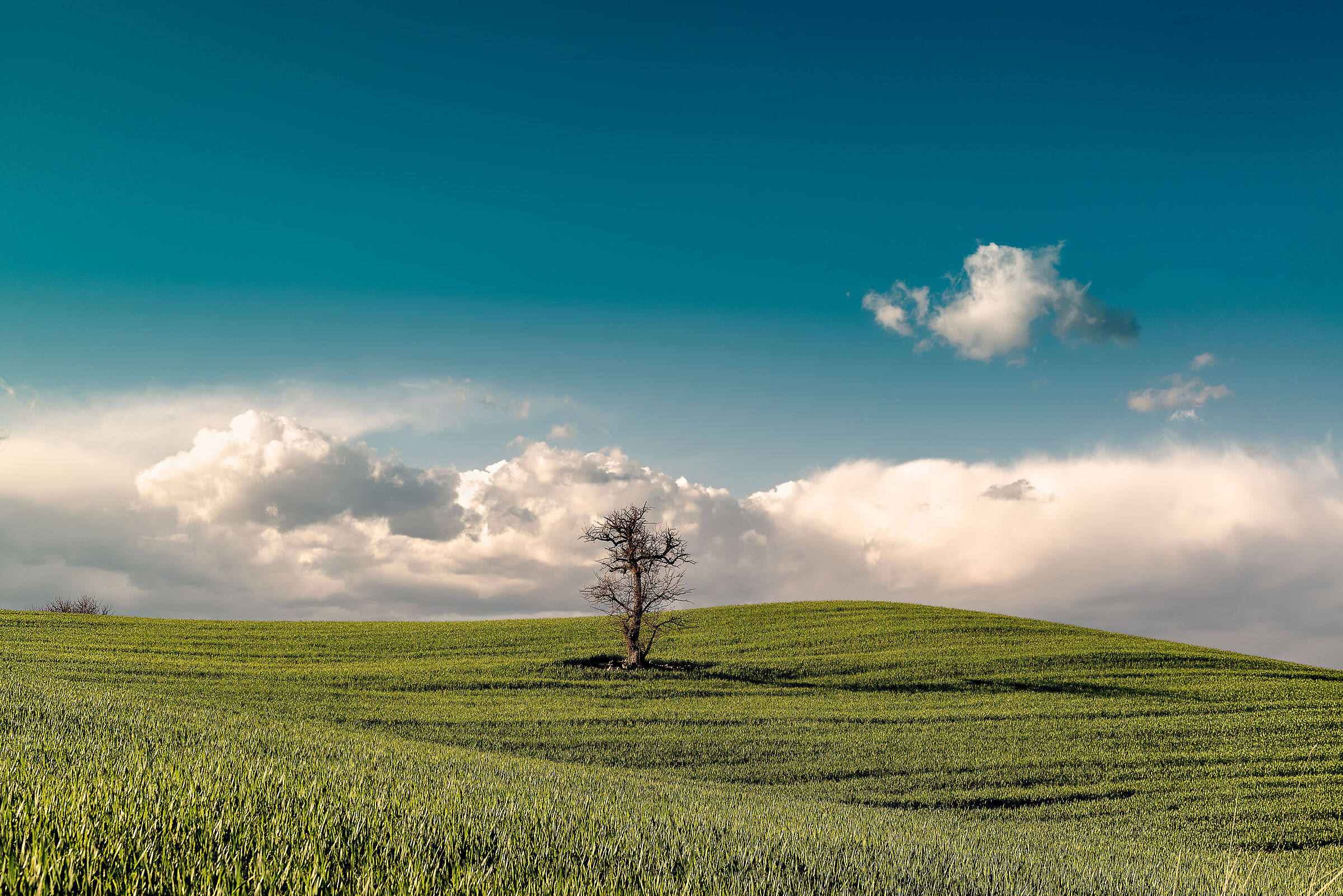 paesaggio  valdichiana meridionale