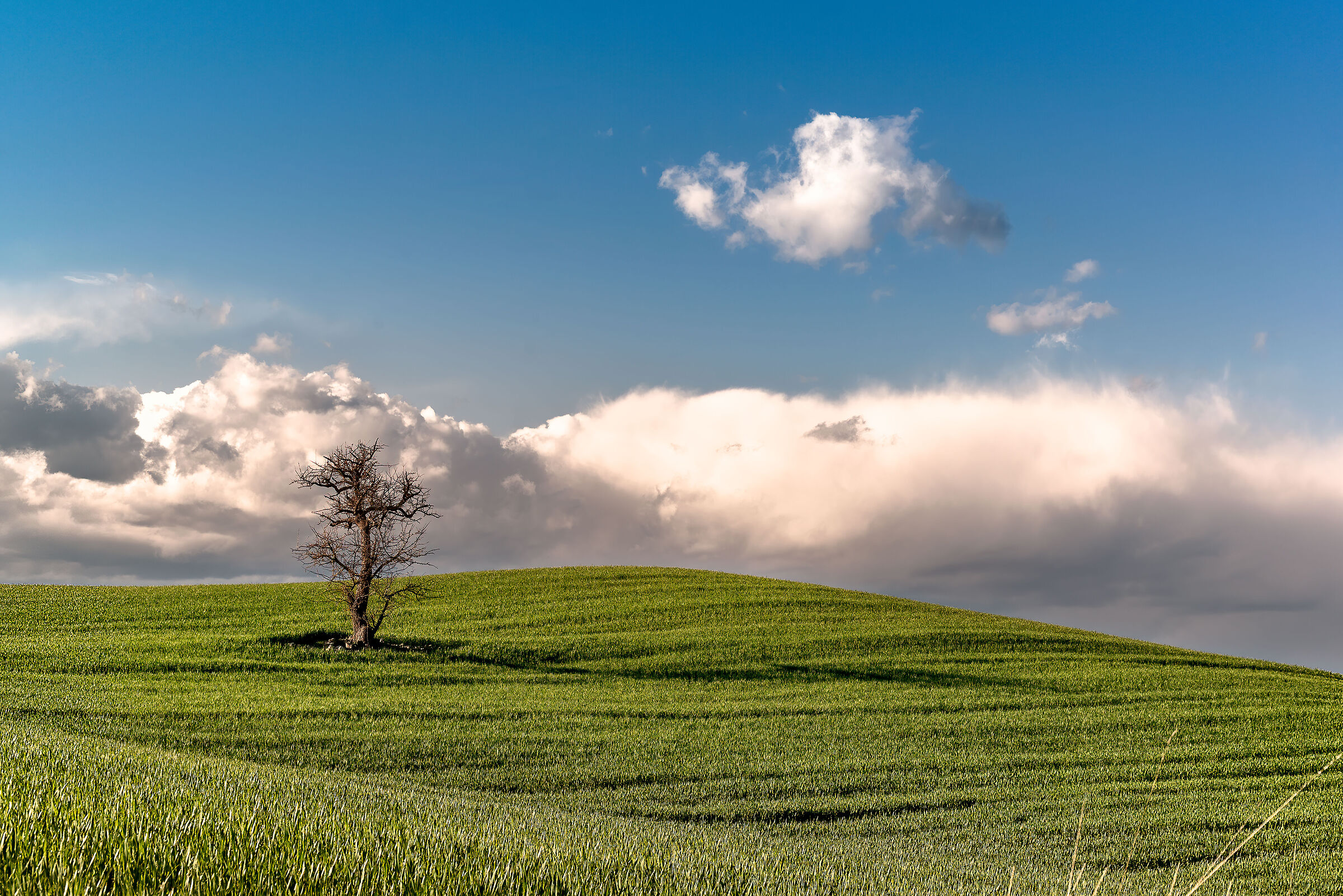 paesaggio  valdichiana meridionale