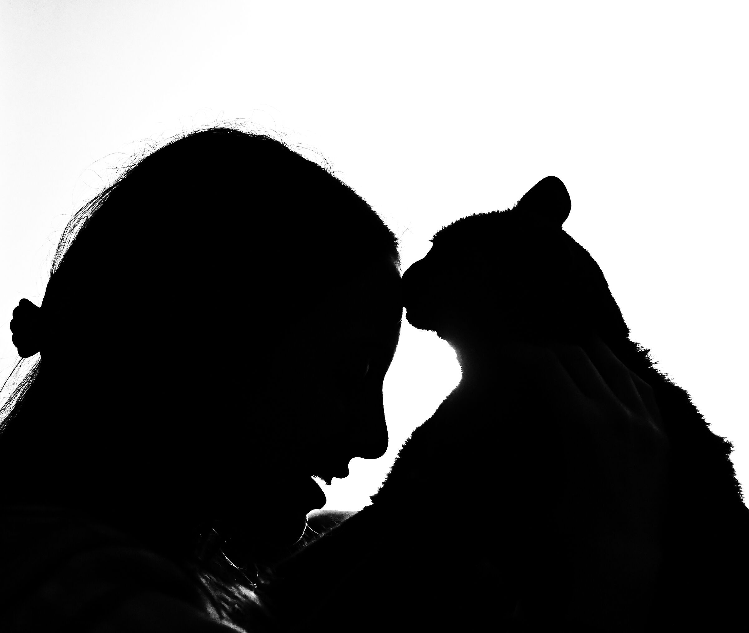 Starò  nella tua mente e nel tuo cuore