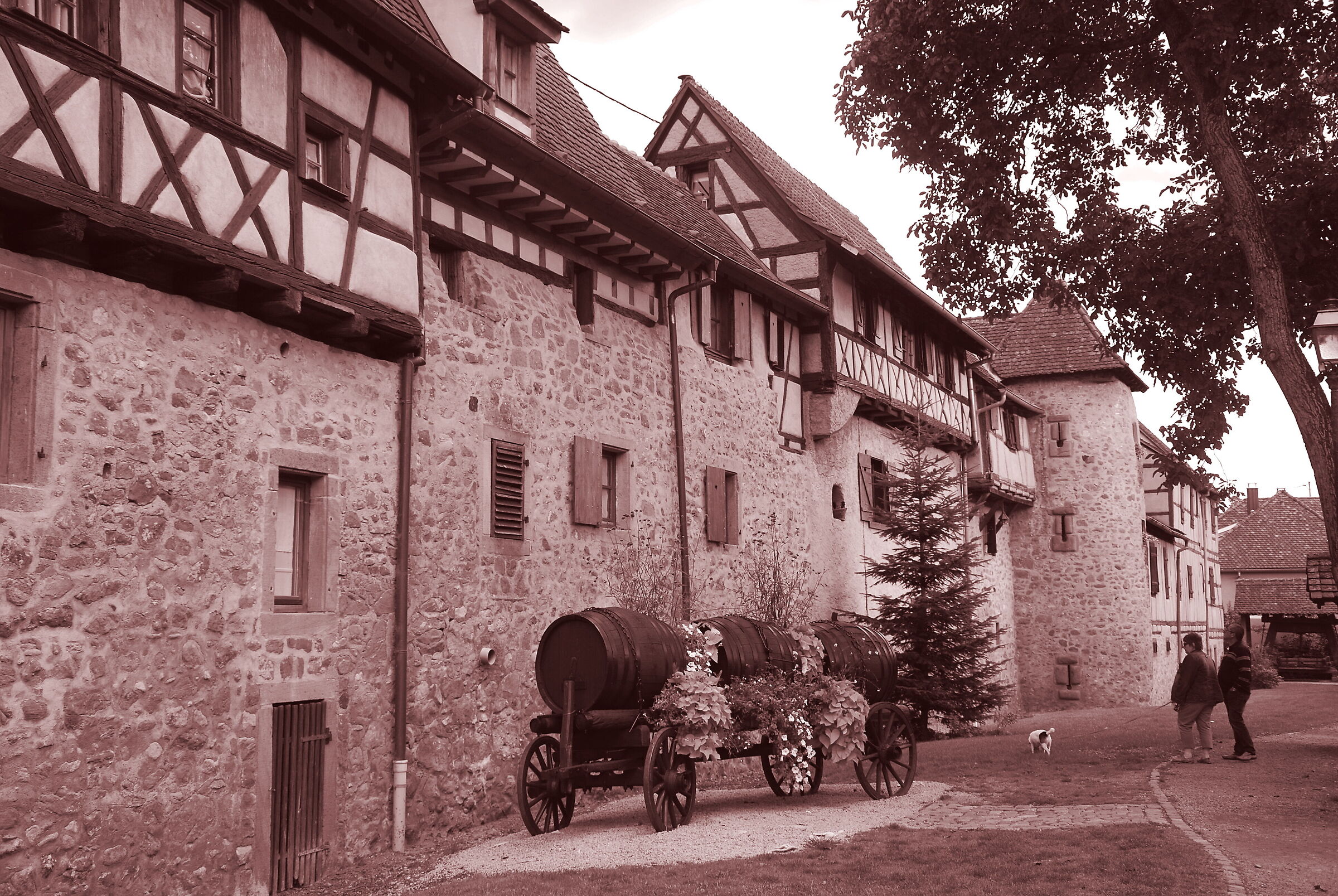 Riquewihr, alto Reno