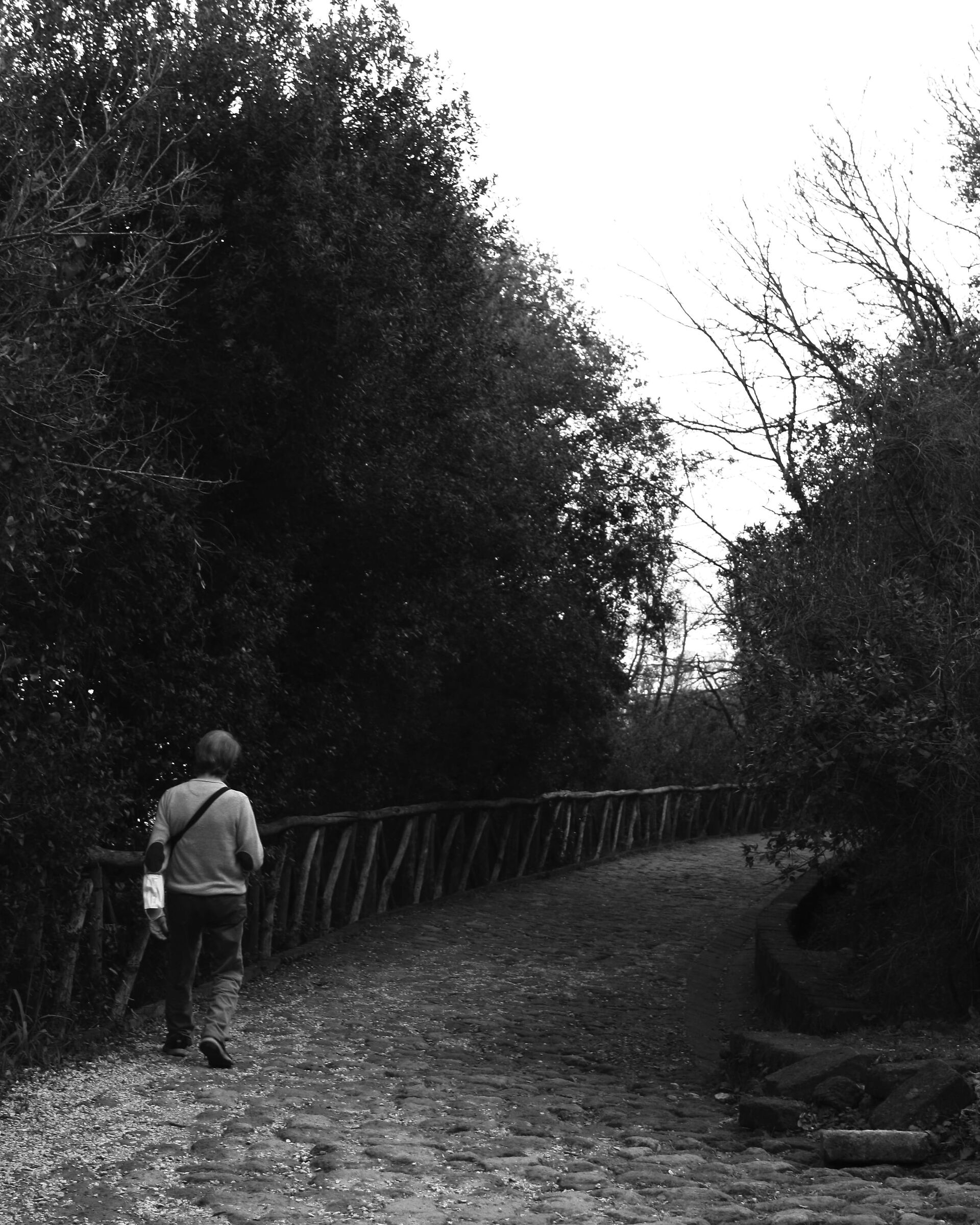 Different path 1