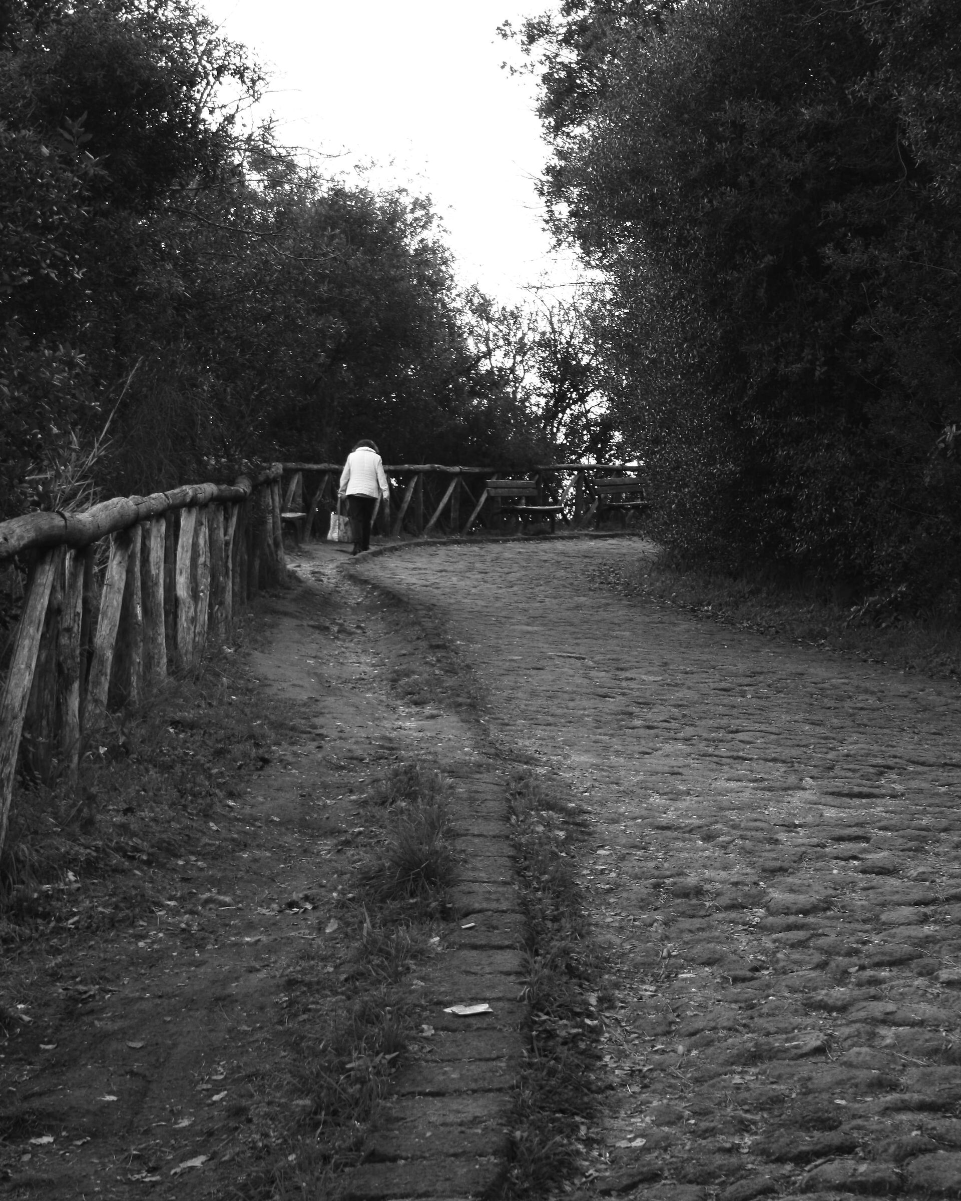 Different path 2