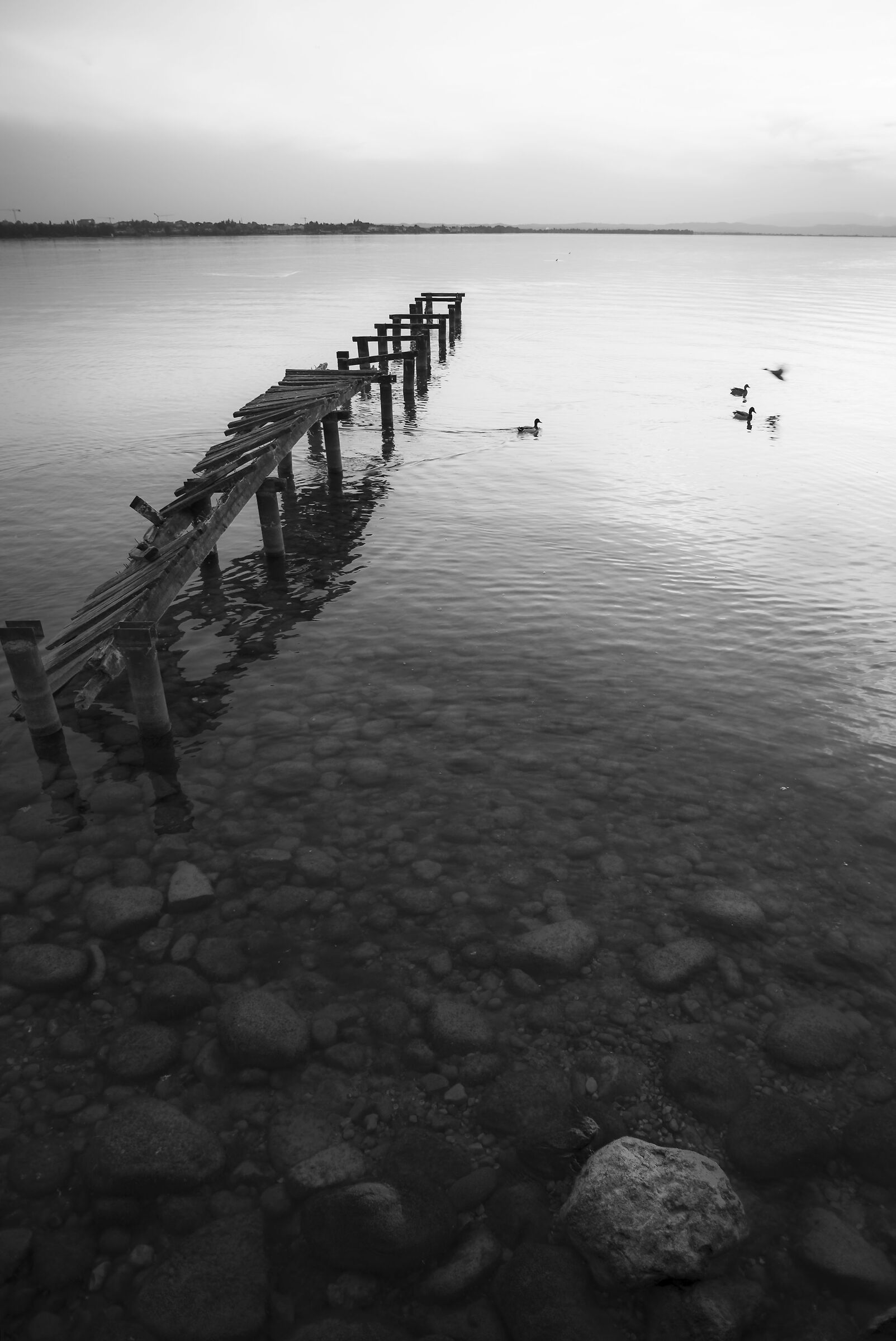 the pier interrupted