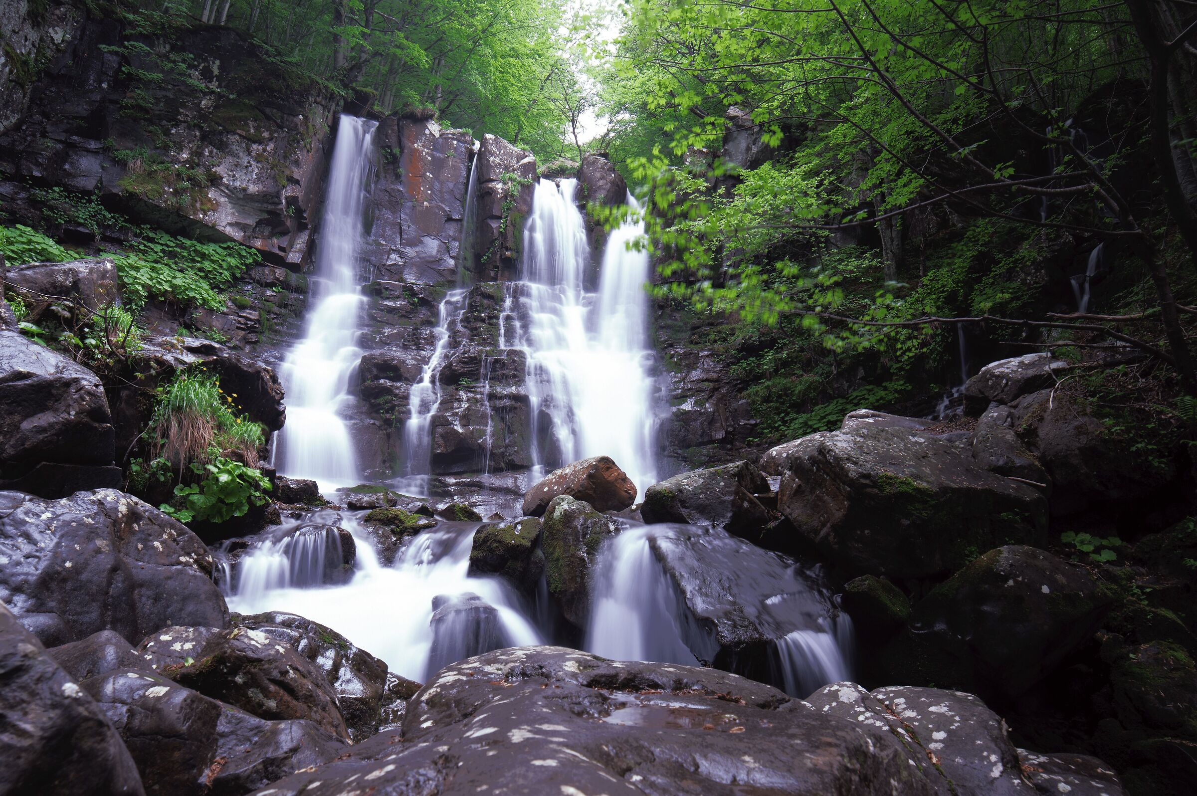 Cascate del Dardagna