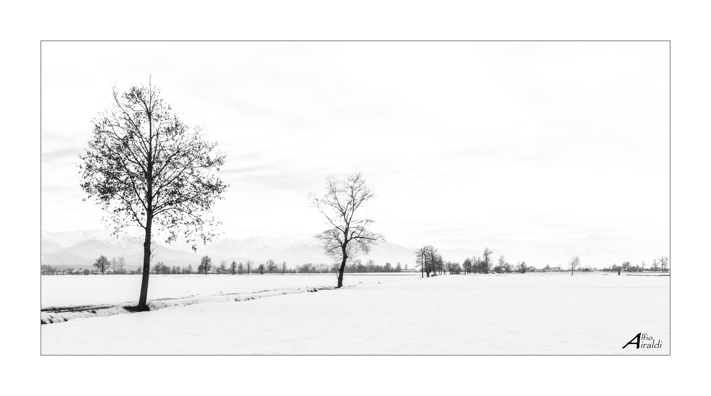Untitled Photo