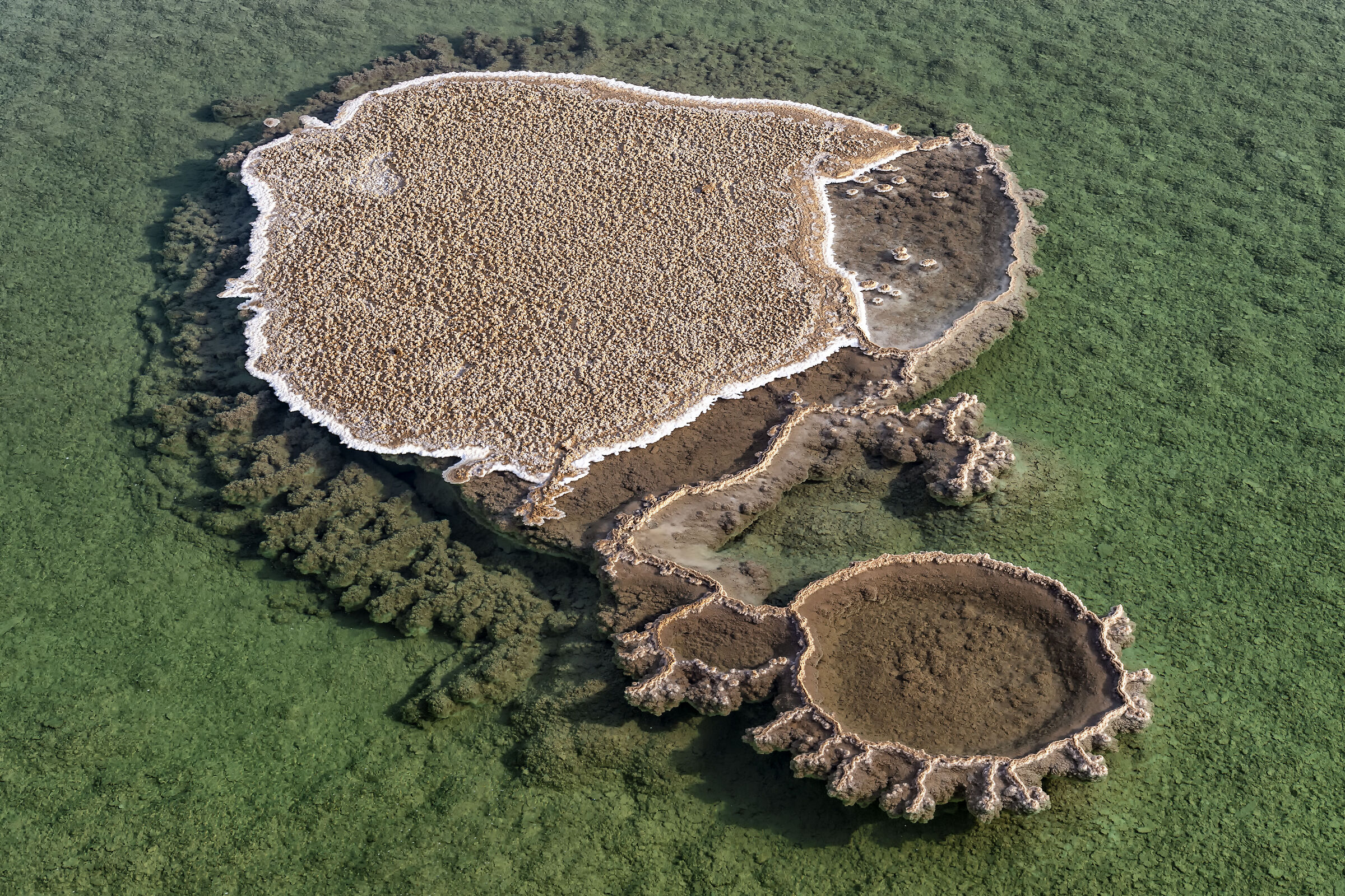 Abu Dhabi Salt River