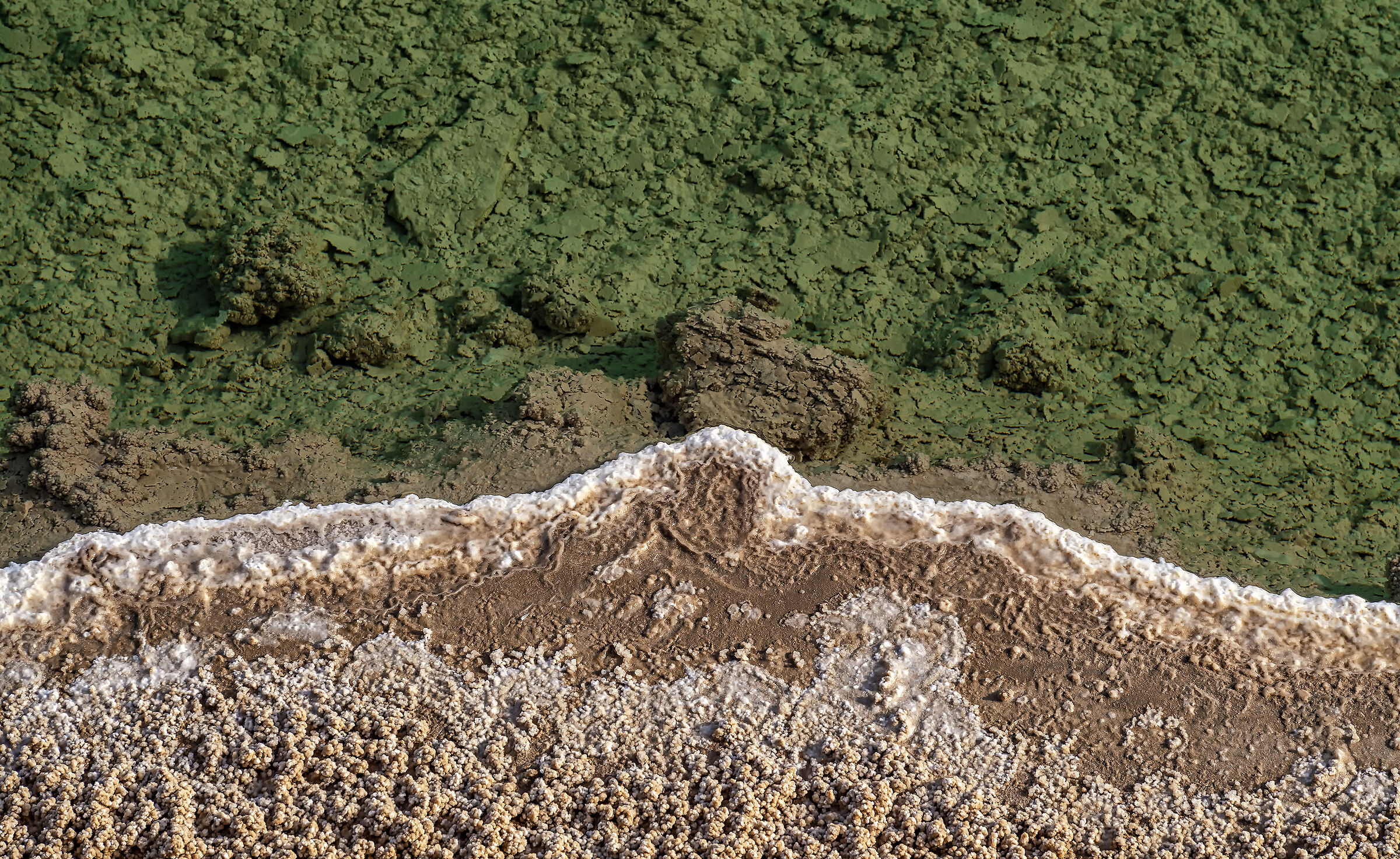 Abu Dhabi Salt River