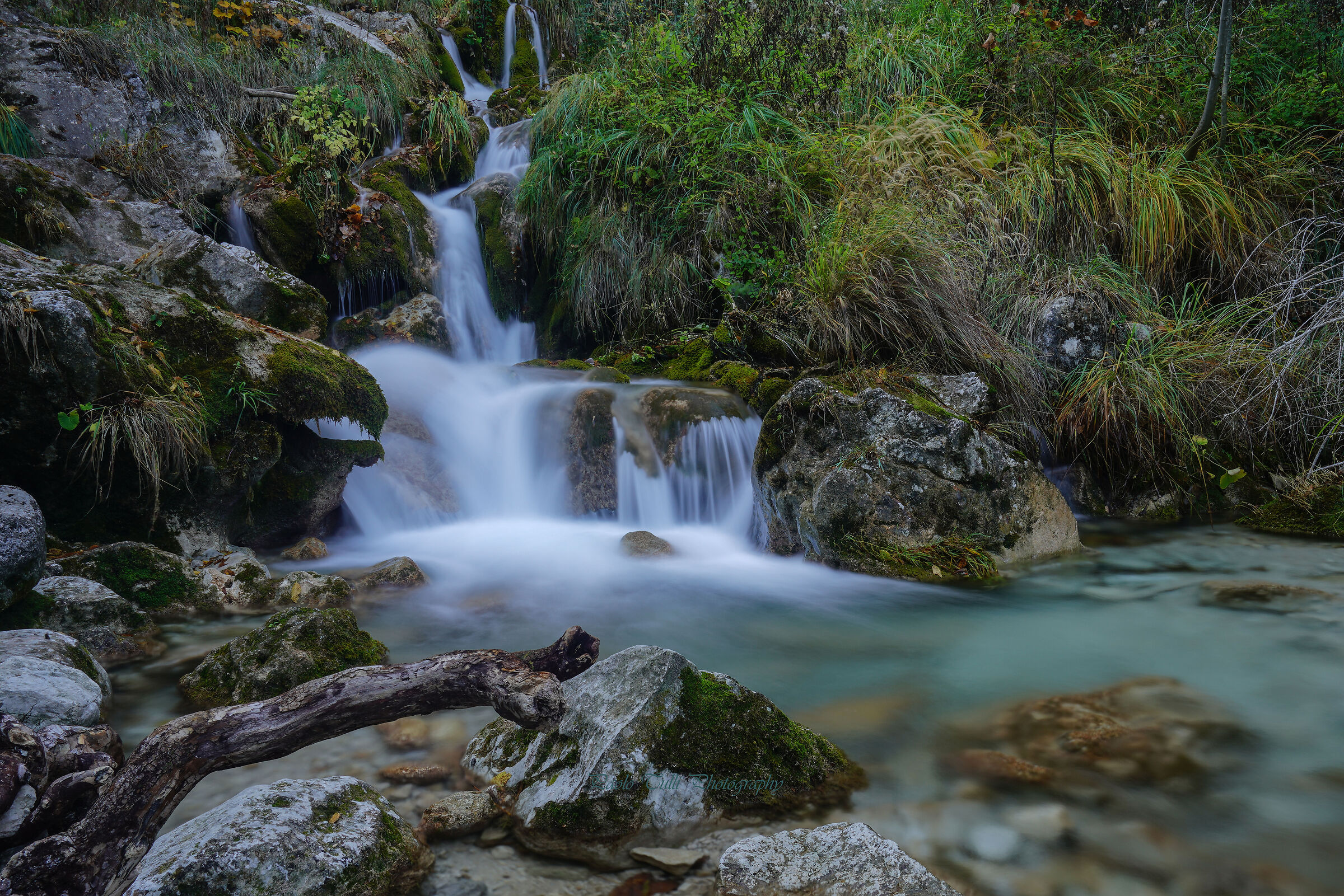 Stream the Schioppo.