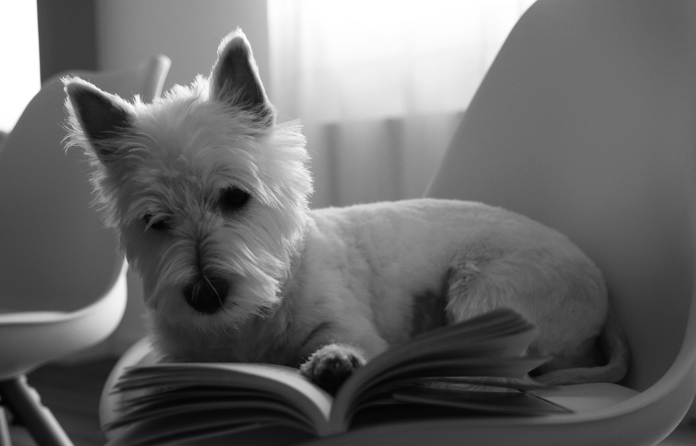 Domeniche in lockdown